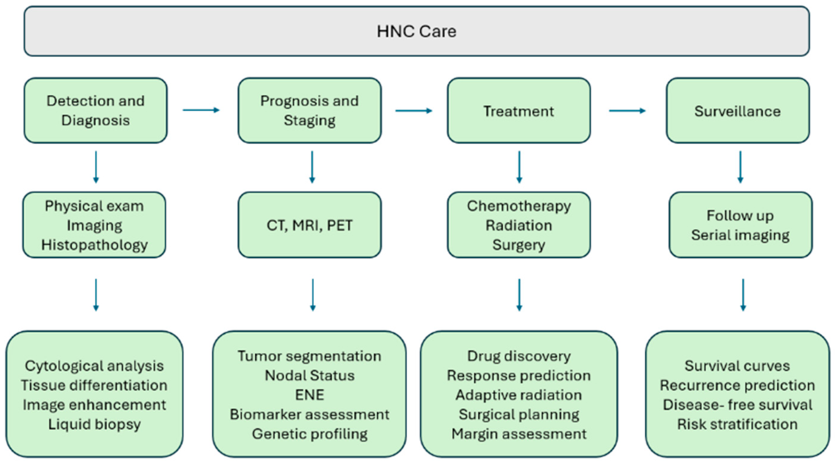Cancers 17 03023 g001
