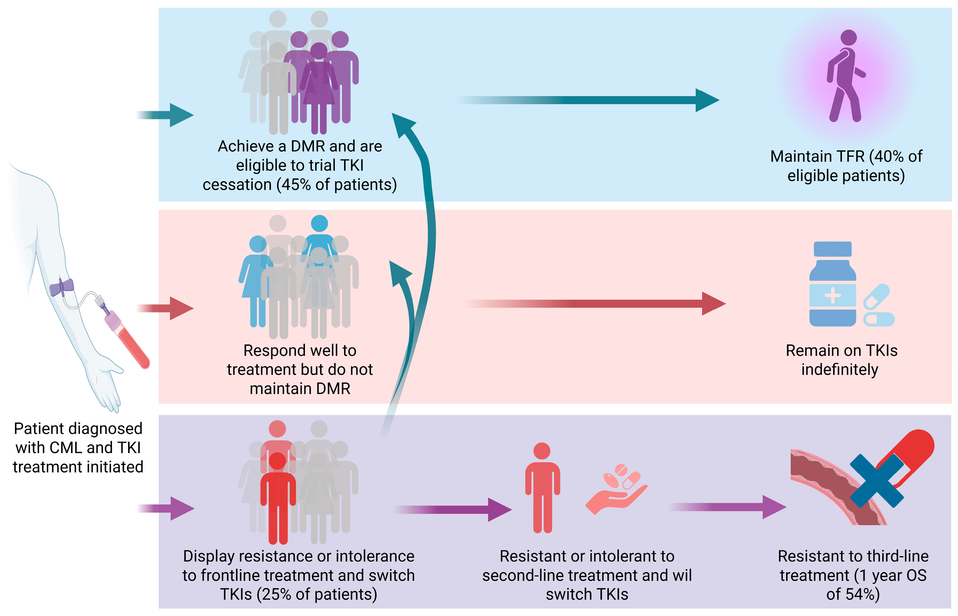 Cancers 17 03033 g001 Cancers 17 03033 g001