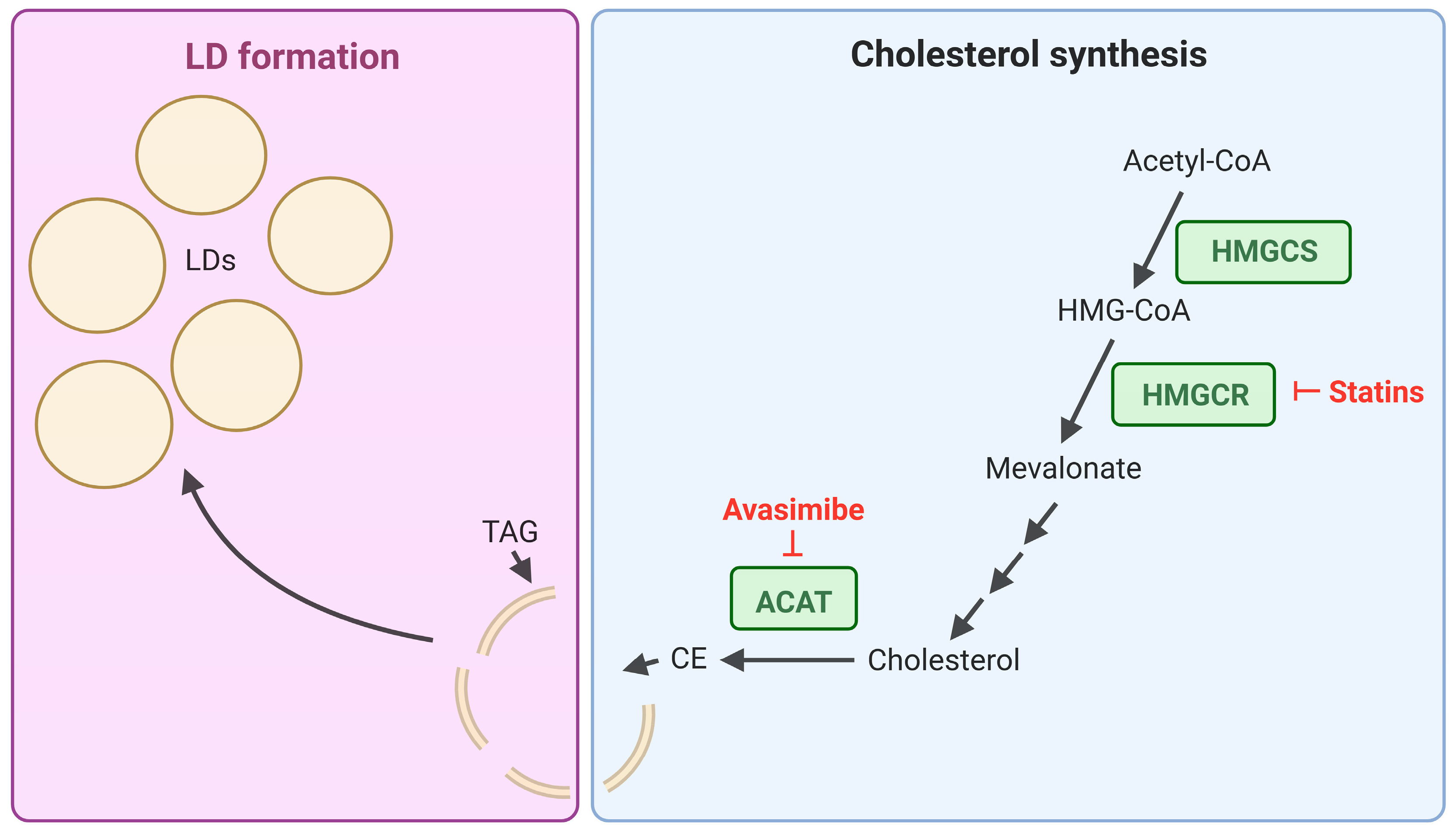 Cancers 17 03033 g003 Cancers 17 03033 g003