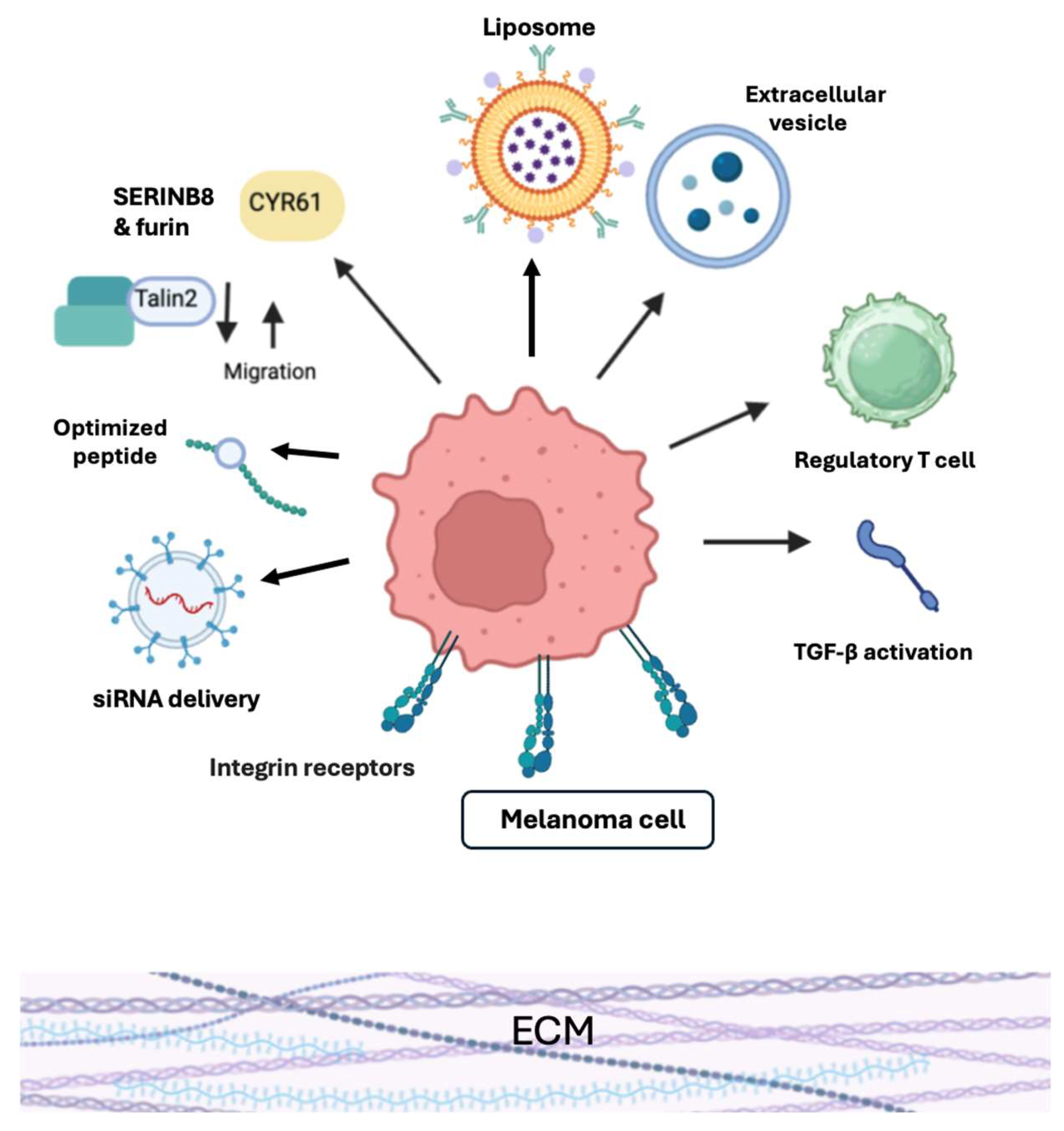 Cancers 17 03037 g001 Cancers 17 03037 g001