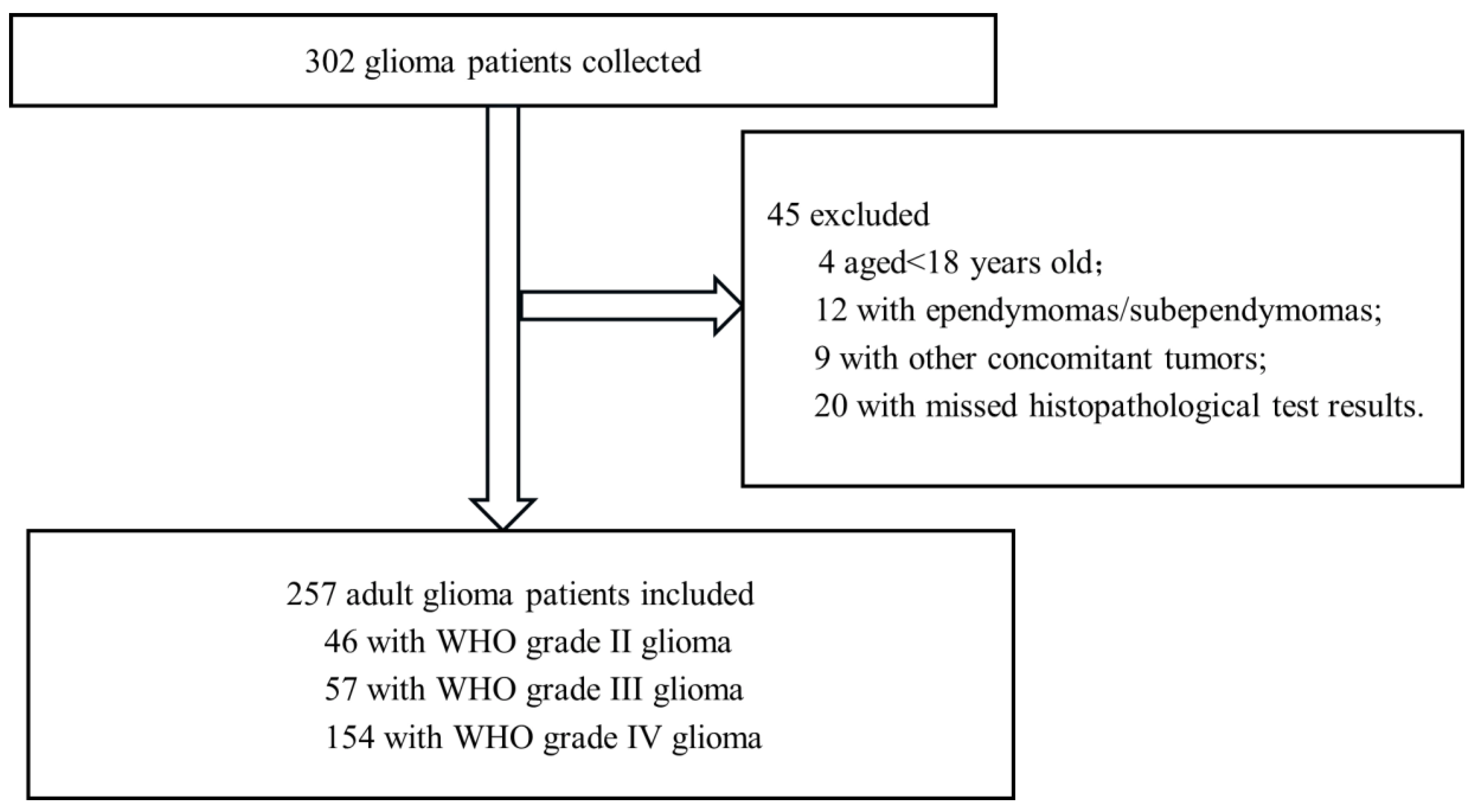 Cancers 17 03043 g001 Cancers 17 03043 g001