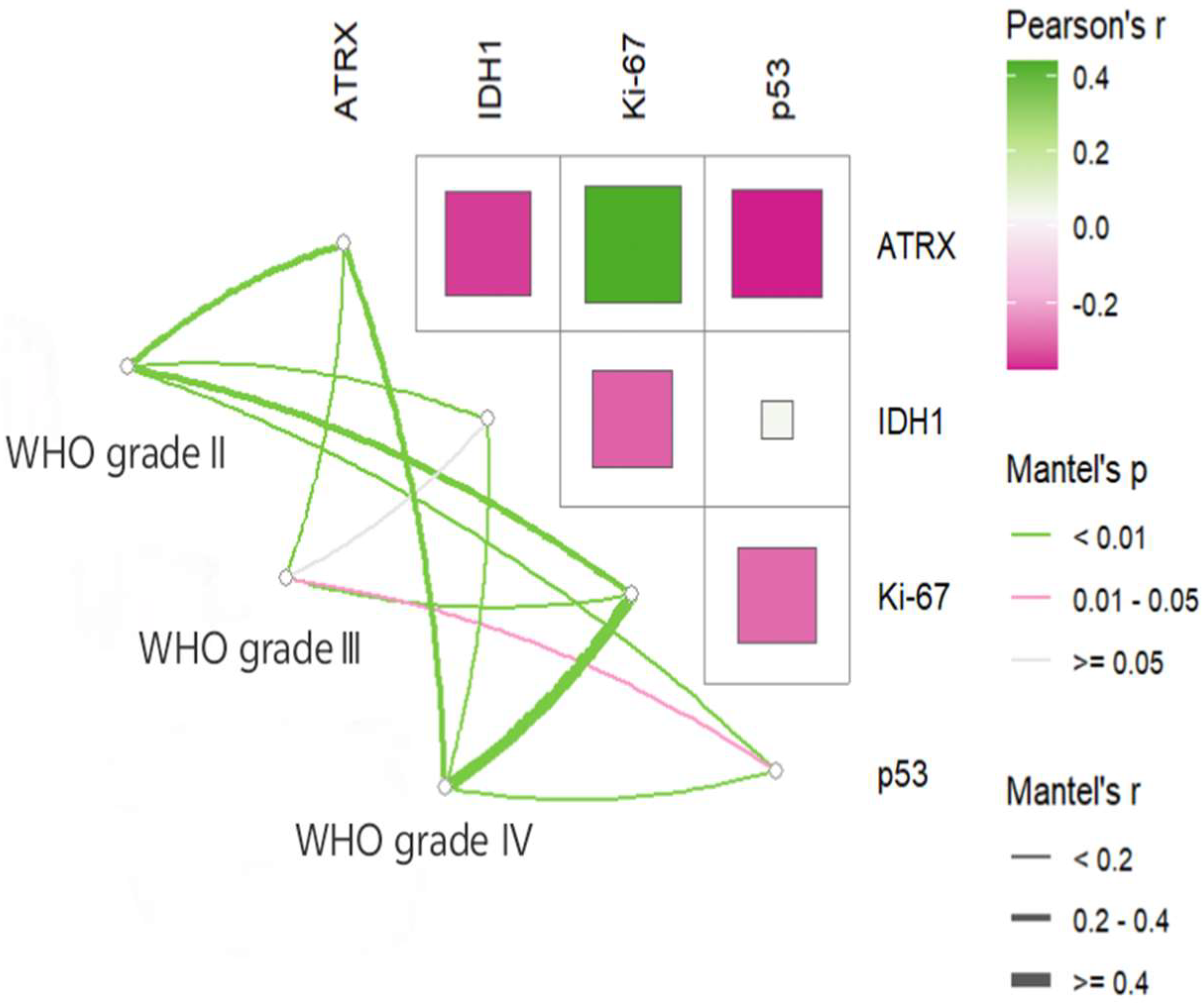 Cancers 17 03043 g002 Cancers 17 03043 g002