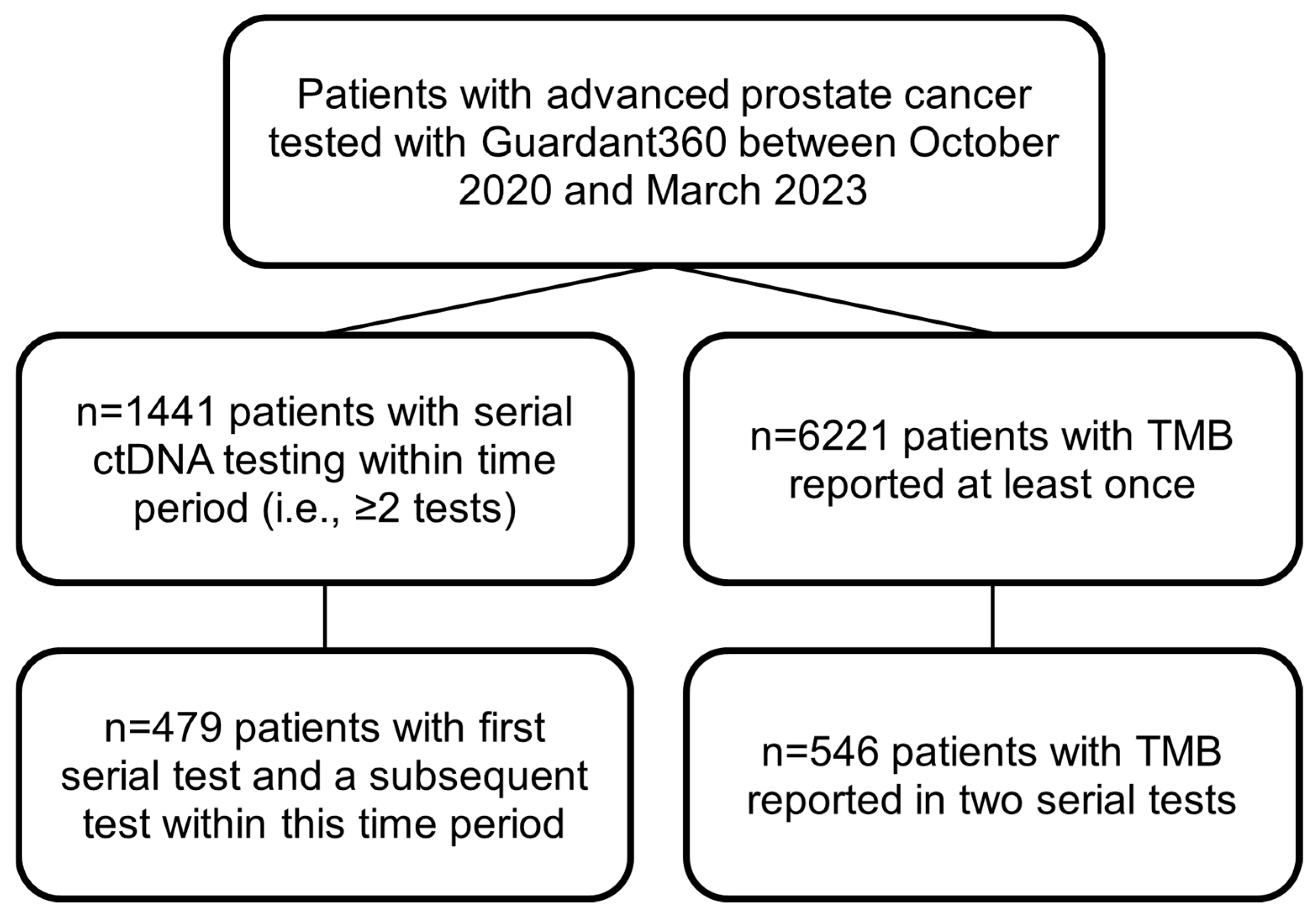 Cancers 17 03048 g001 Cancers 17 03048 g001