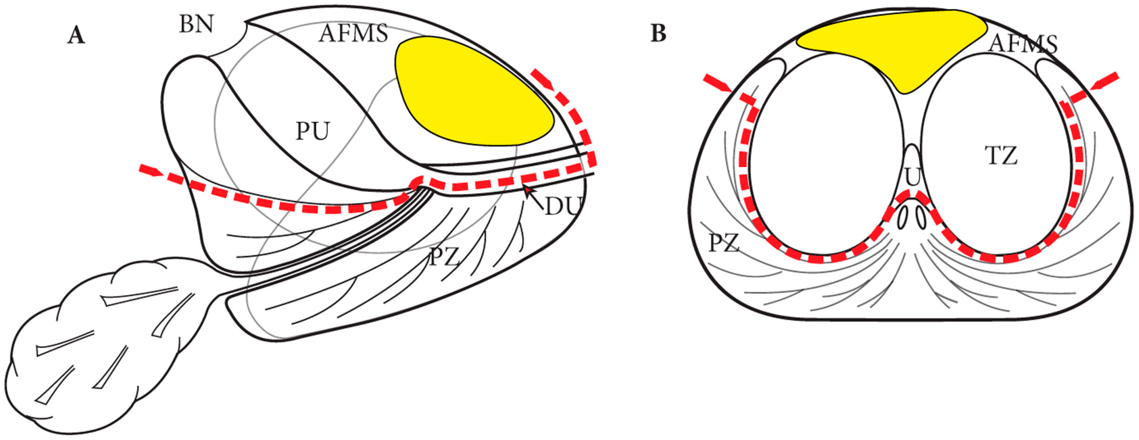 Cancers 17 03053 g003