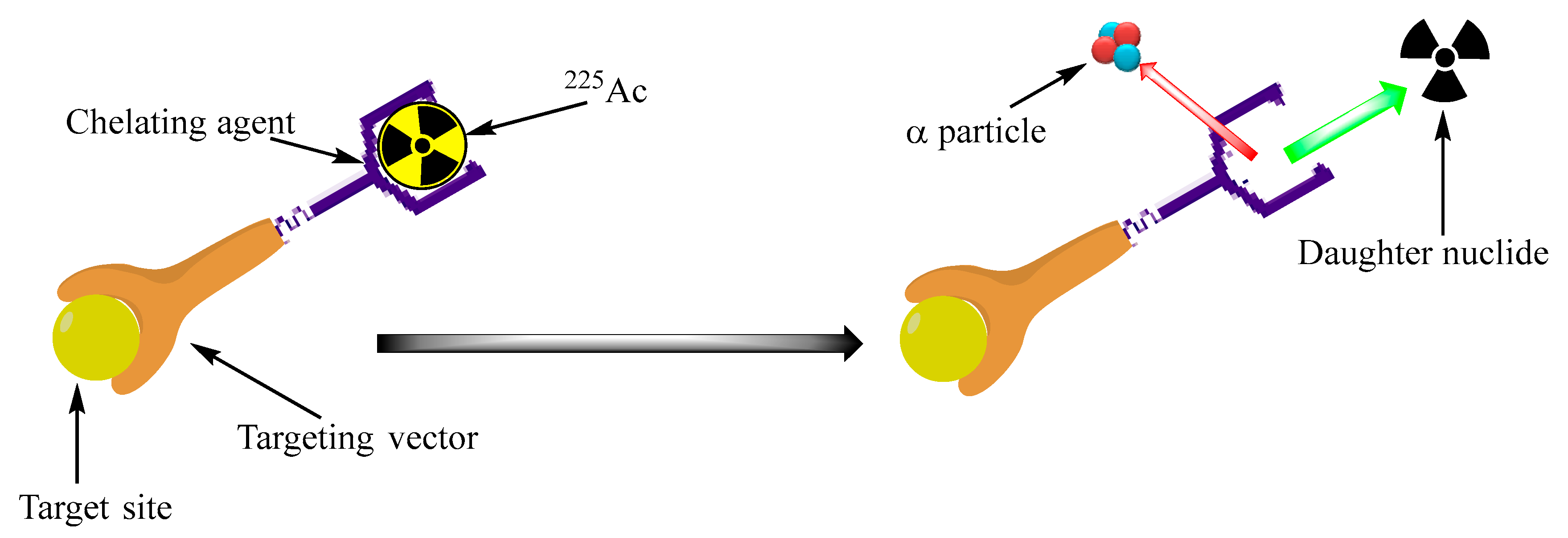 Cancers 17 03055 g003 Cancers 17 03055 g003