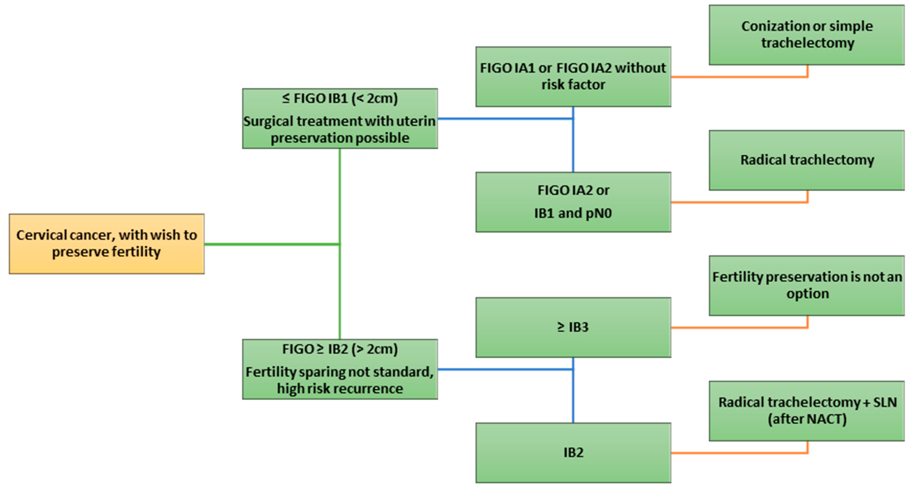 Cancers 17 03057 g002
