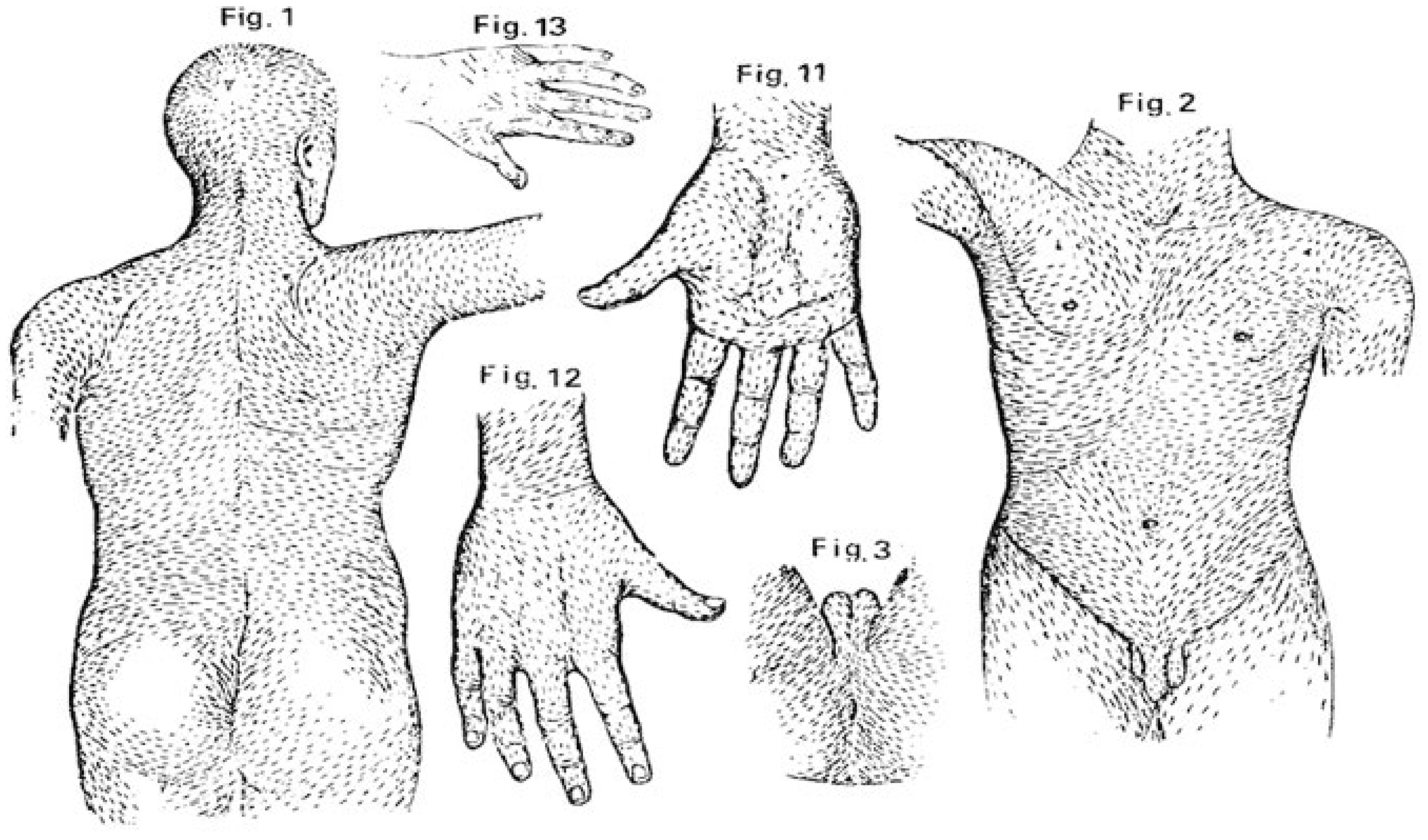 Cancers 17 03064 g001 Cancers 17 03064 g001