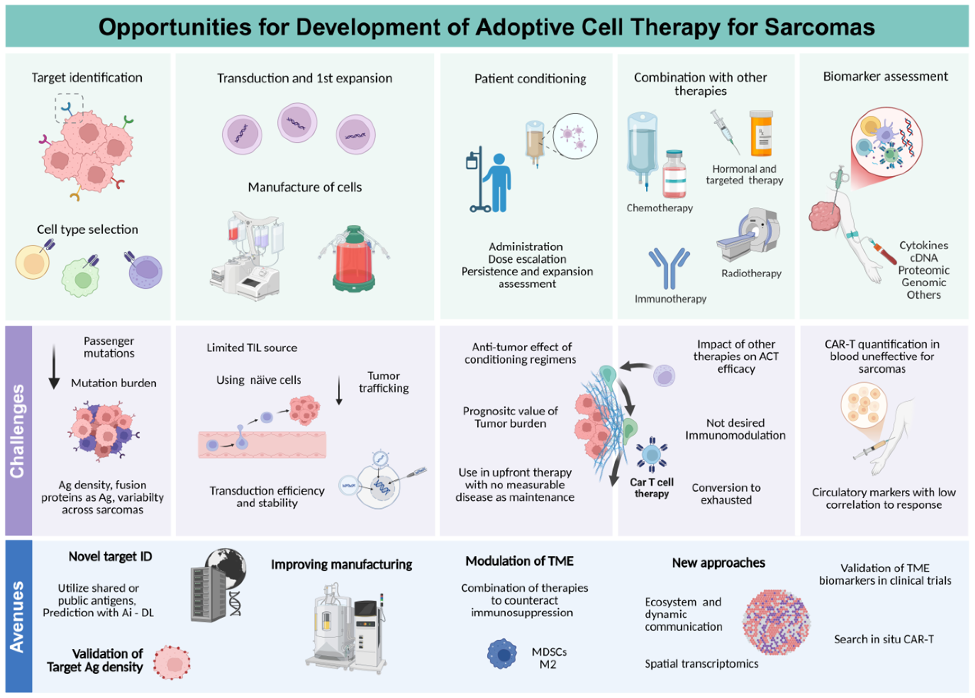 Cancers 17 03068 g001