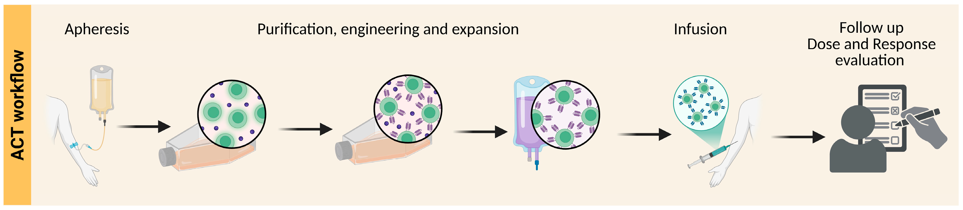 Cancers 17 03068 g002
