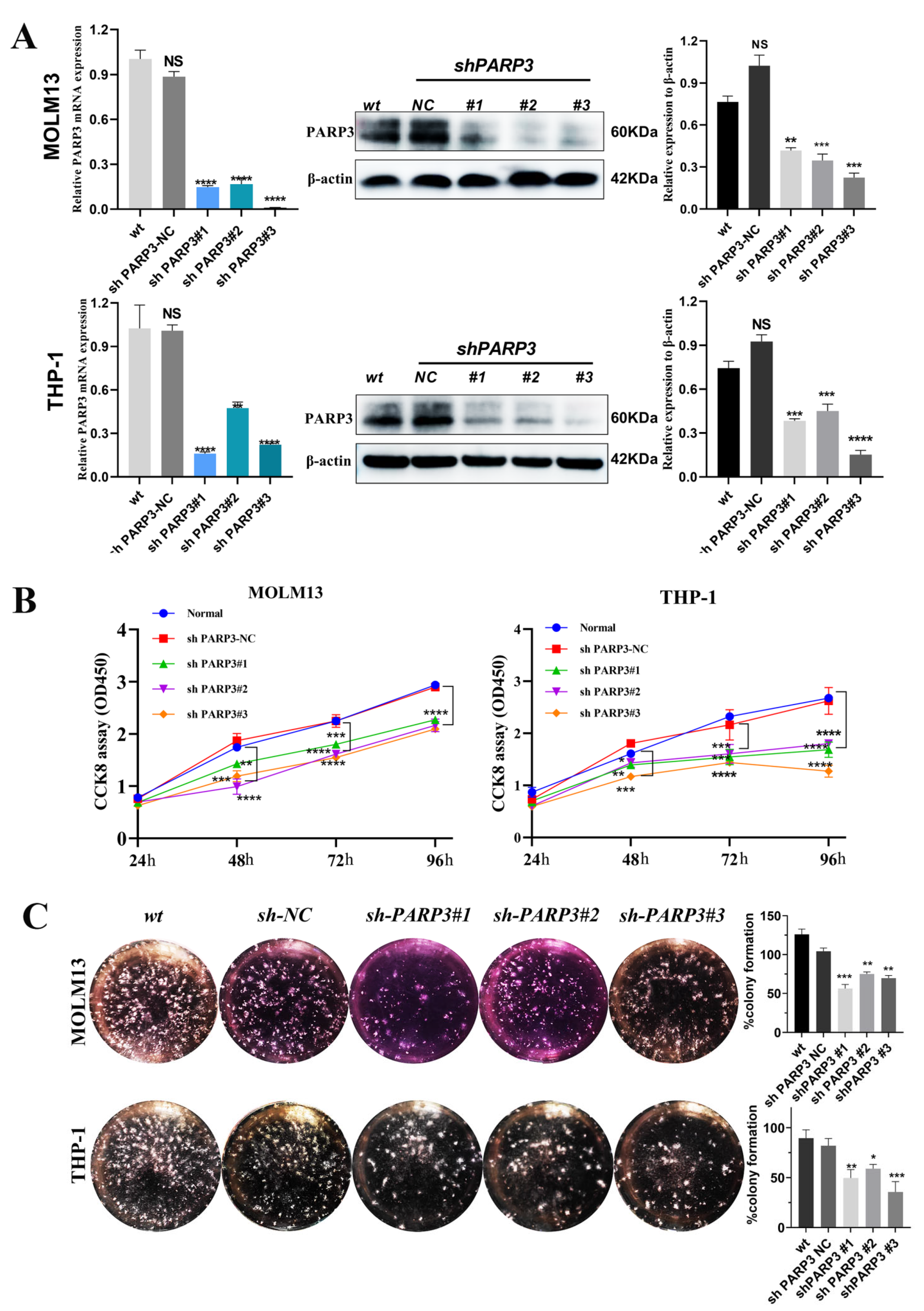 Cancers 17 03076 g002 Cancers 17 03076 g002