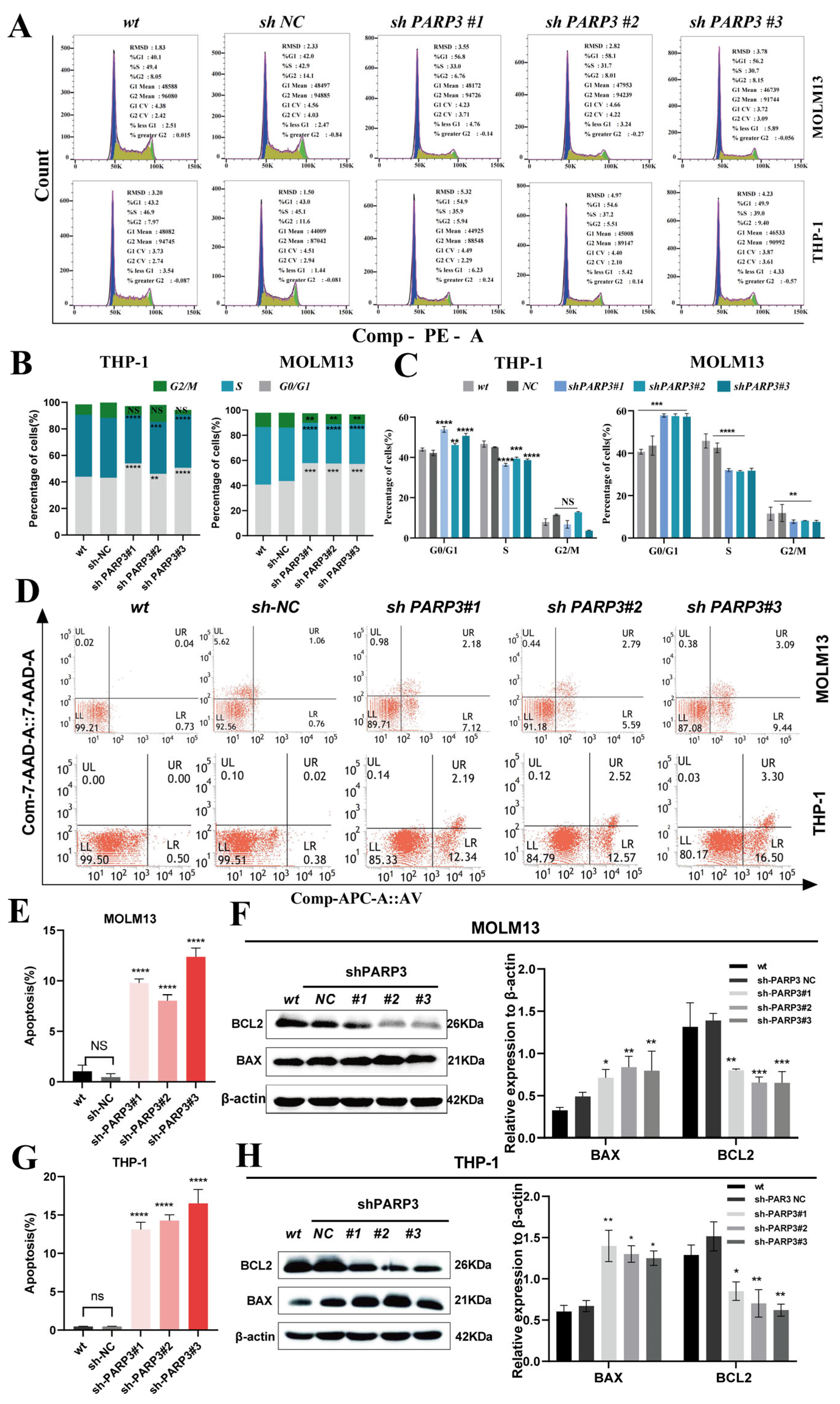 Cancers 17 03076 g003 Cancers 17 03076 g003