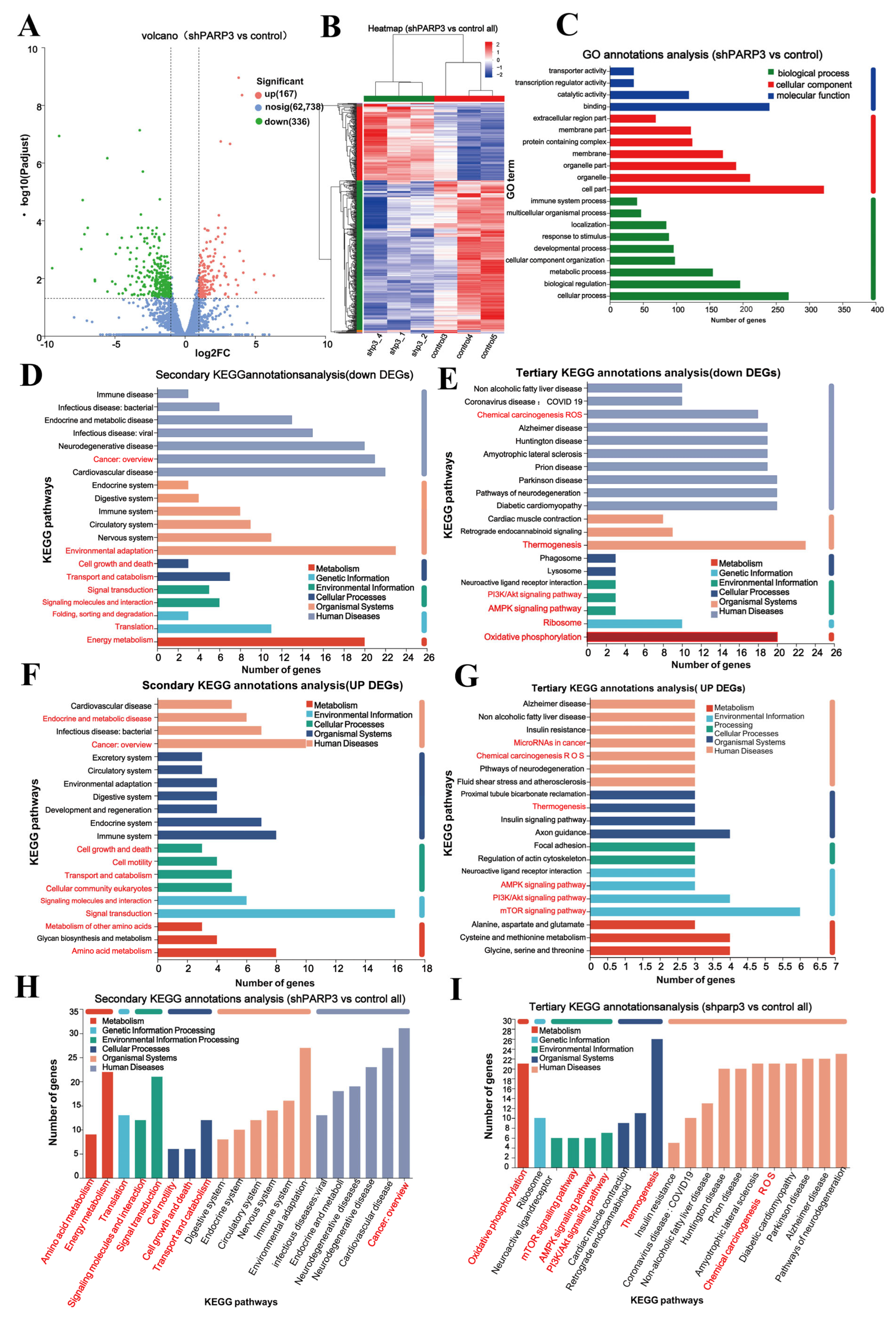 Cancers 17 03076 g005 Cancers 17 03076 g005