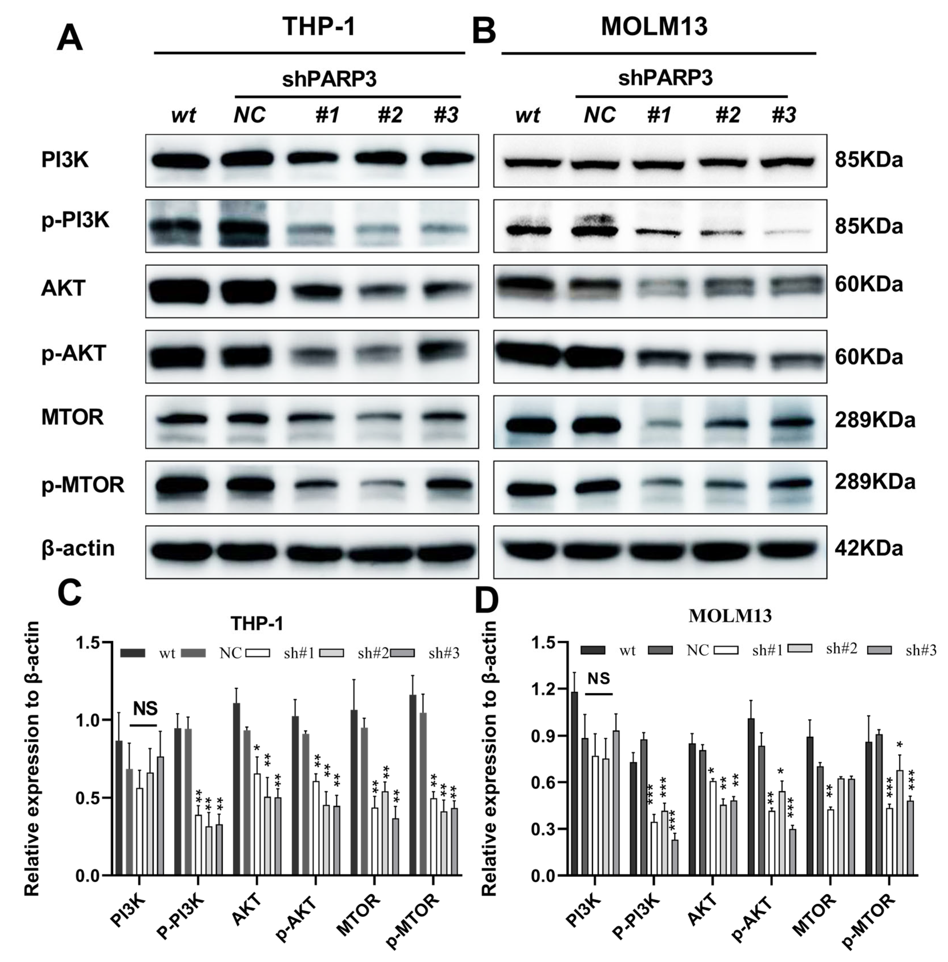 Cancers 17 03076 g006 Cancers 17 03076 g006