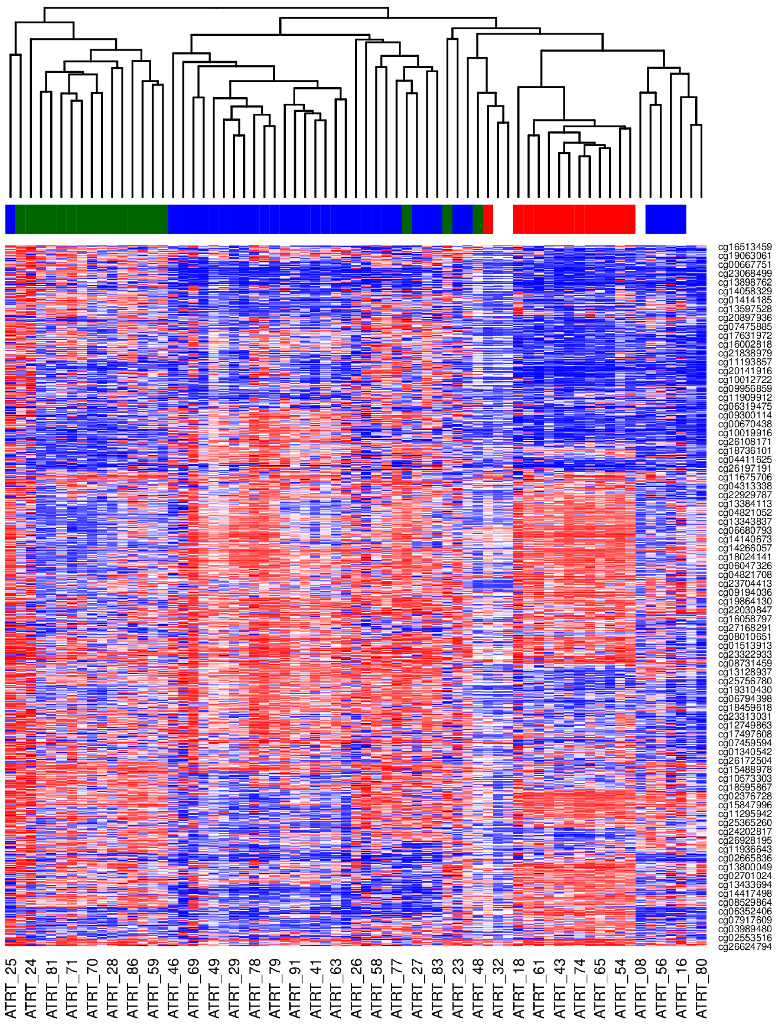 Cancers 17 03077 g001