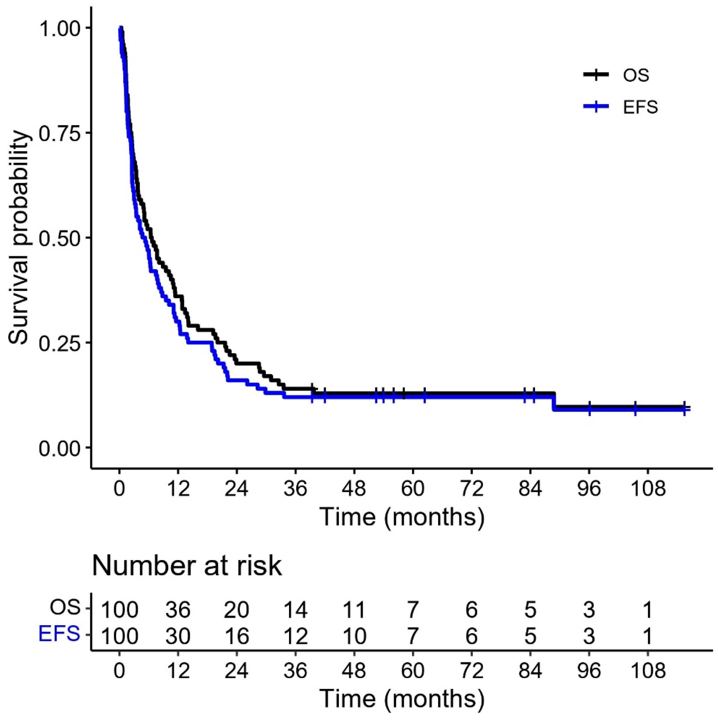 Cancers 17 03077 g004