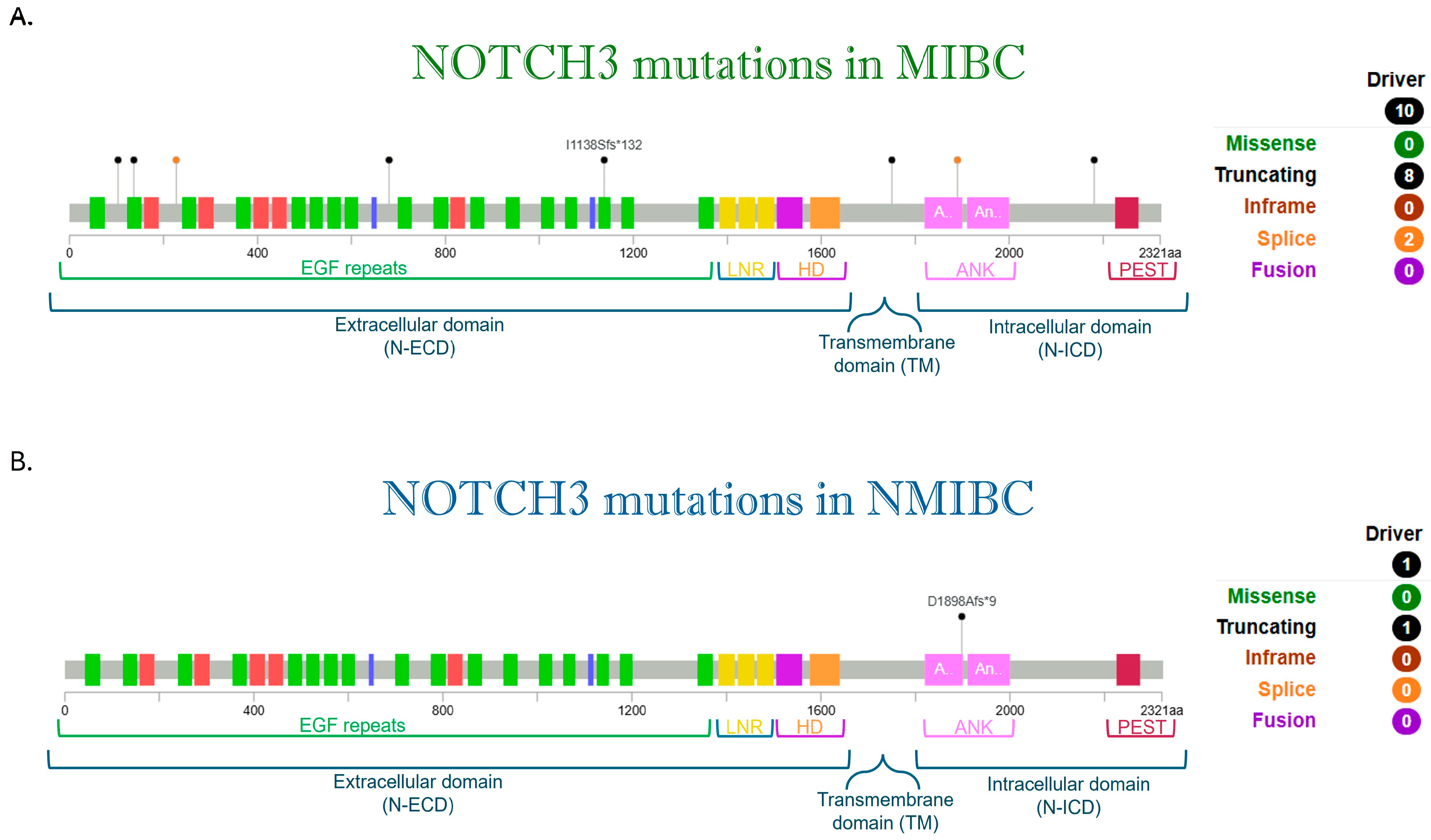 Cancers 17 03078 g002 Cancers 17 03078 g002