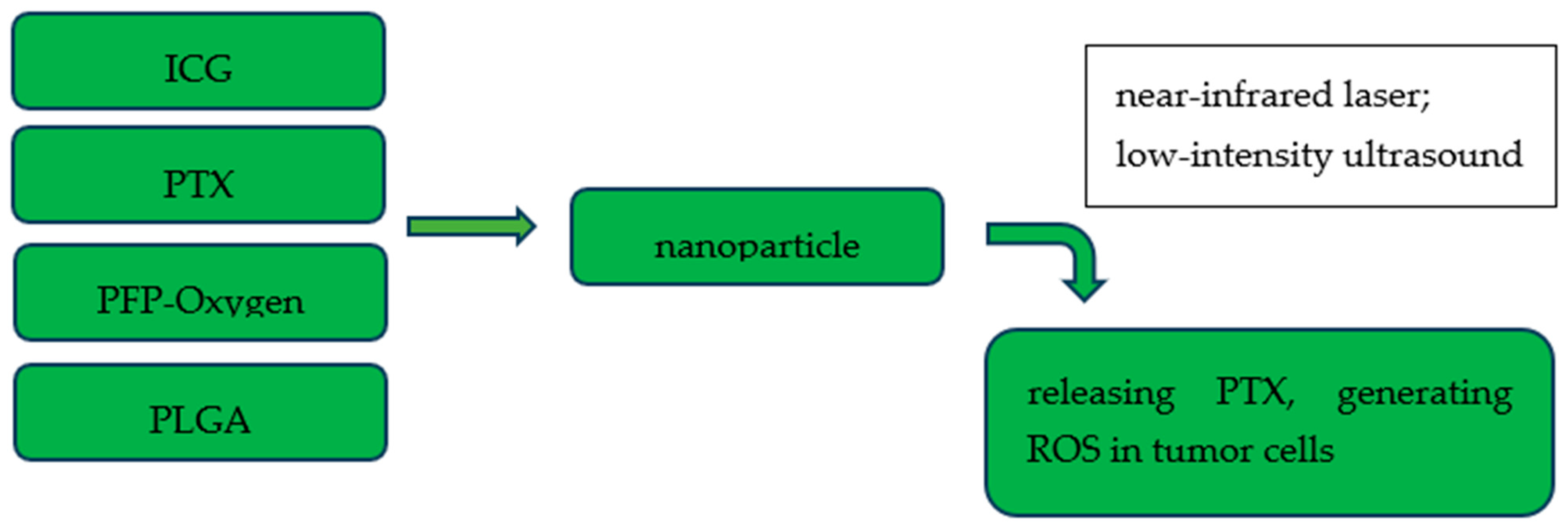 Cancers 17 03081 g003 Cancers 17 03081 g003