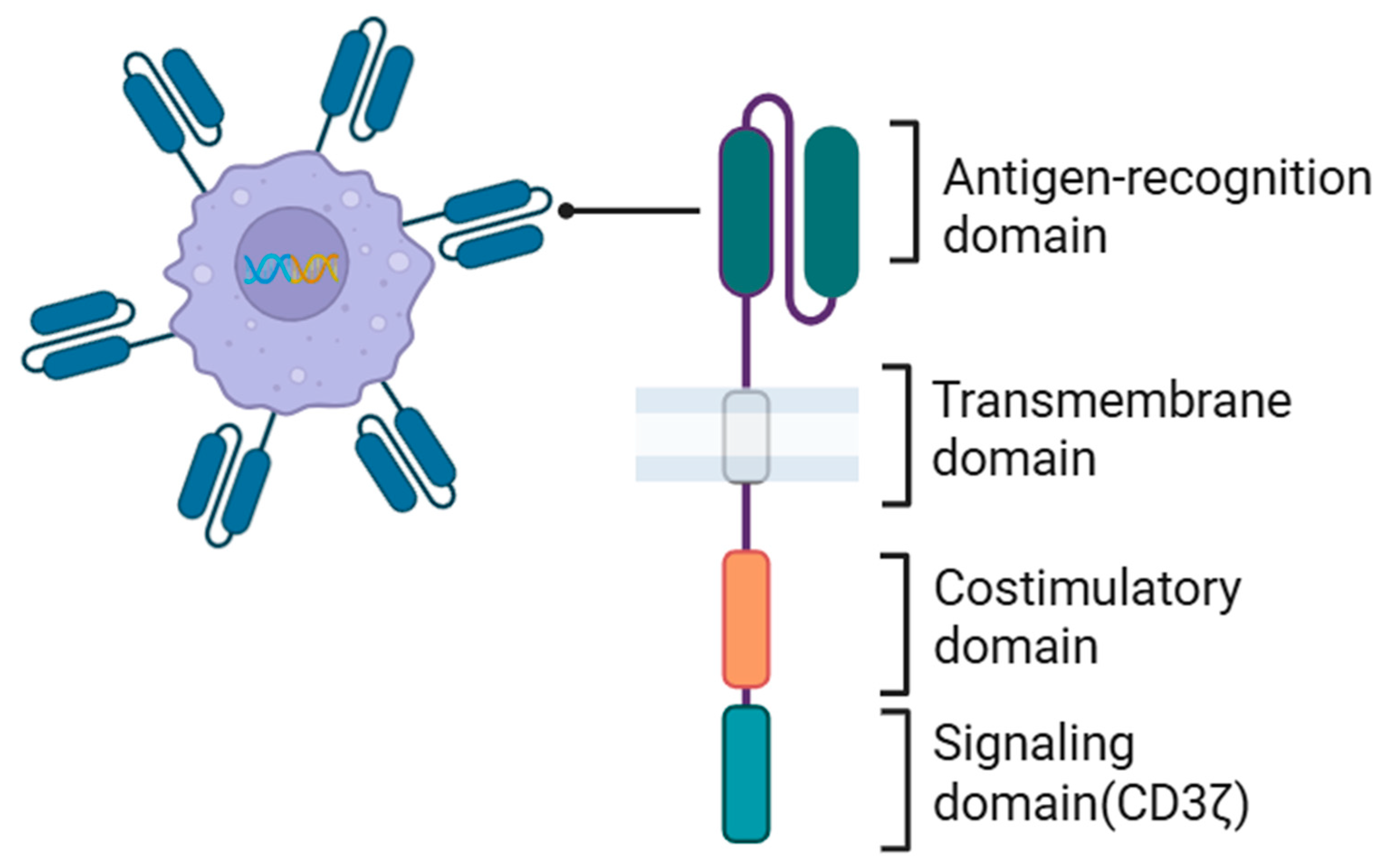 Cancers 17 03090 g003 Cancers 17 03090 g003