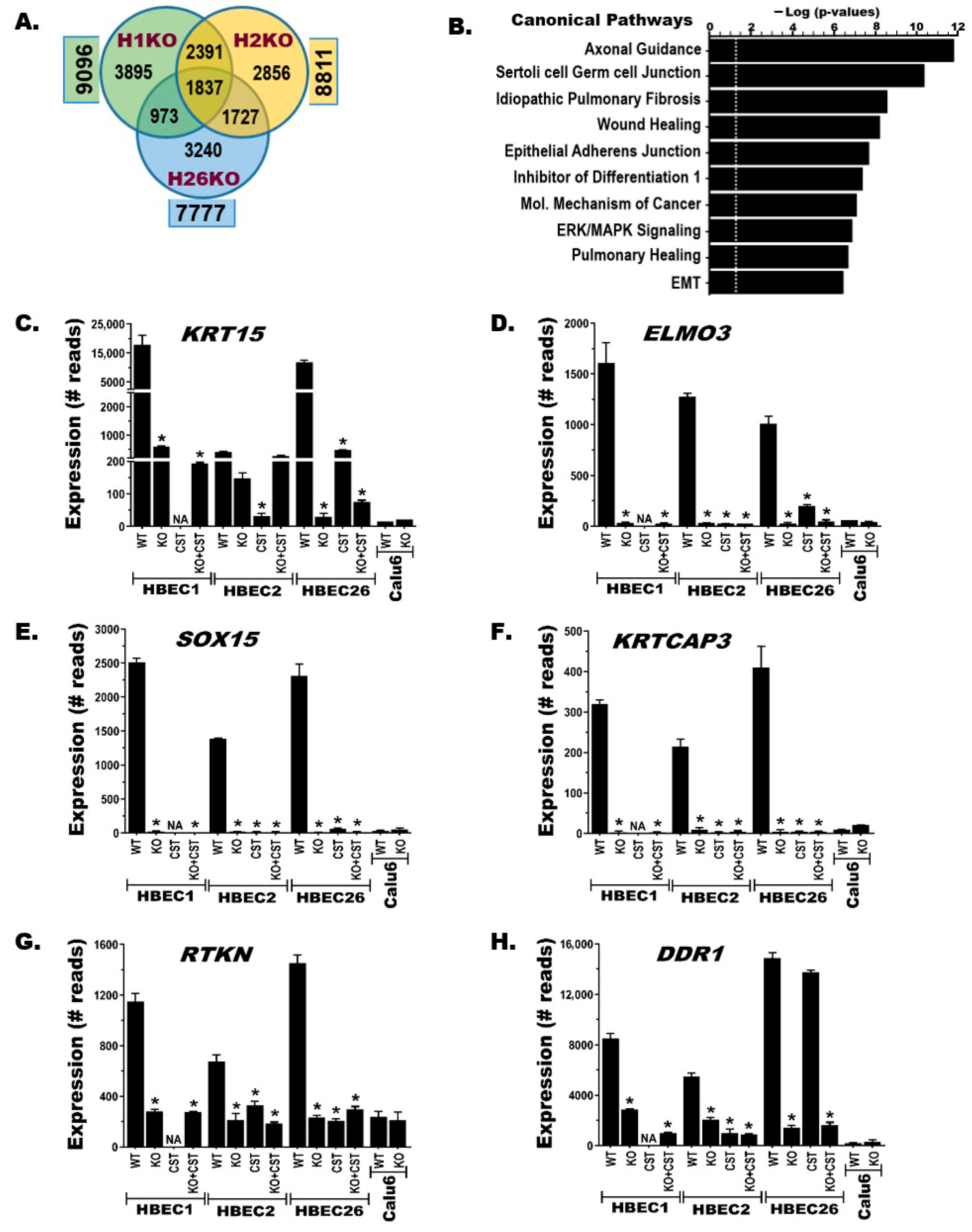 Cancers 17 03092 g003