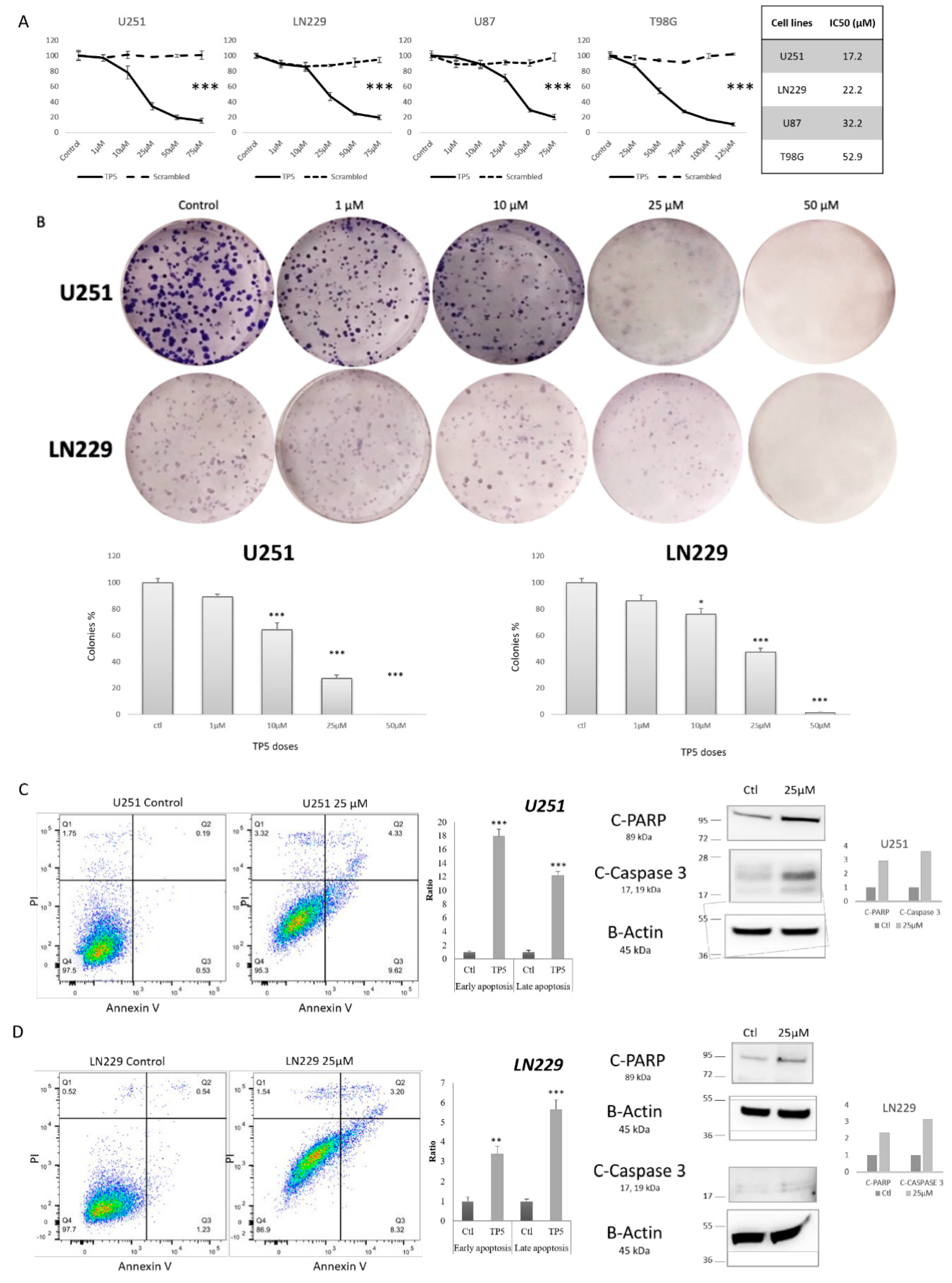 Cancers 17 03094 g002 Cancers 17 03094 g002