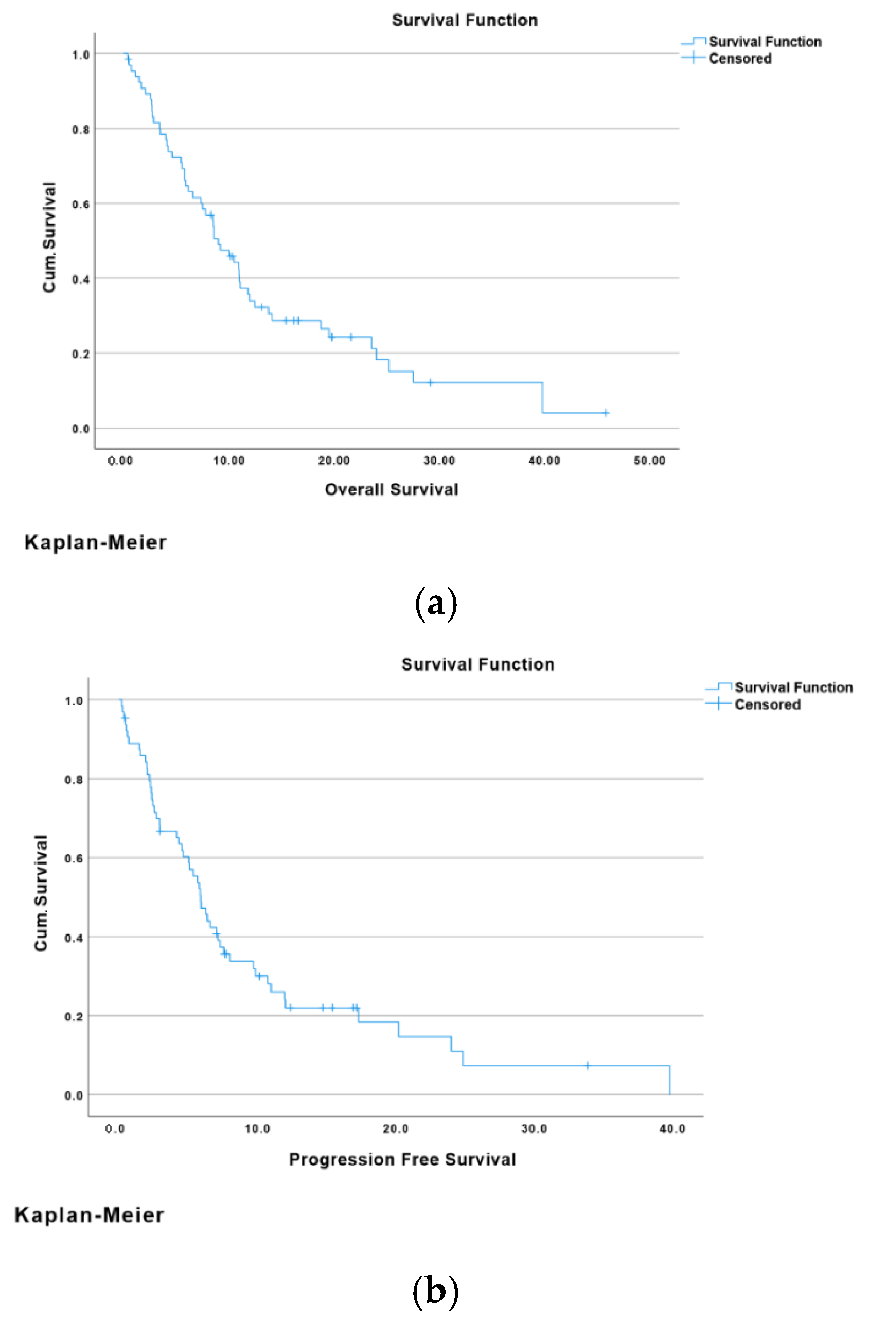 Cancers 17 03102 g001