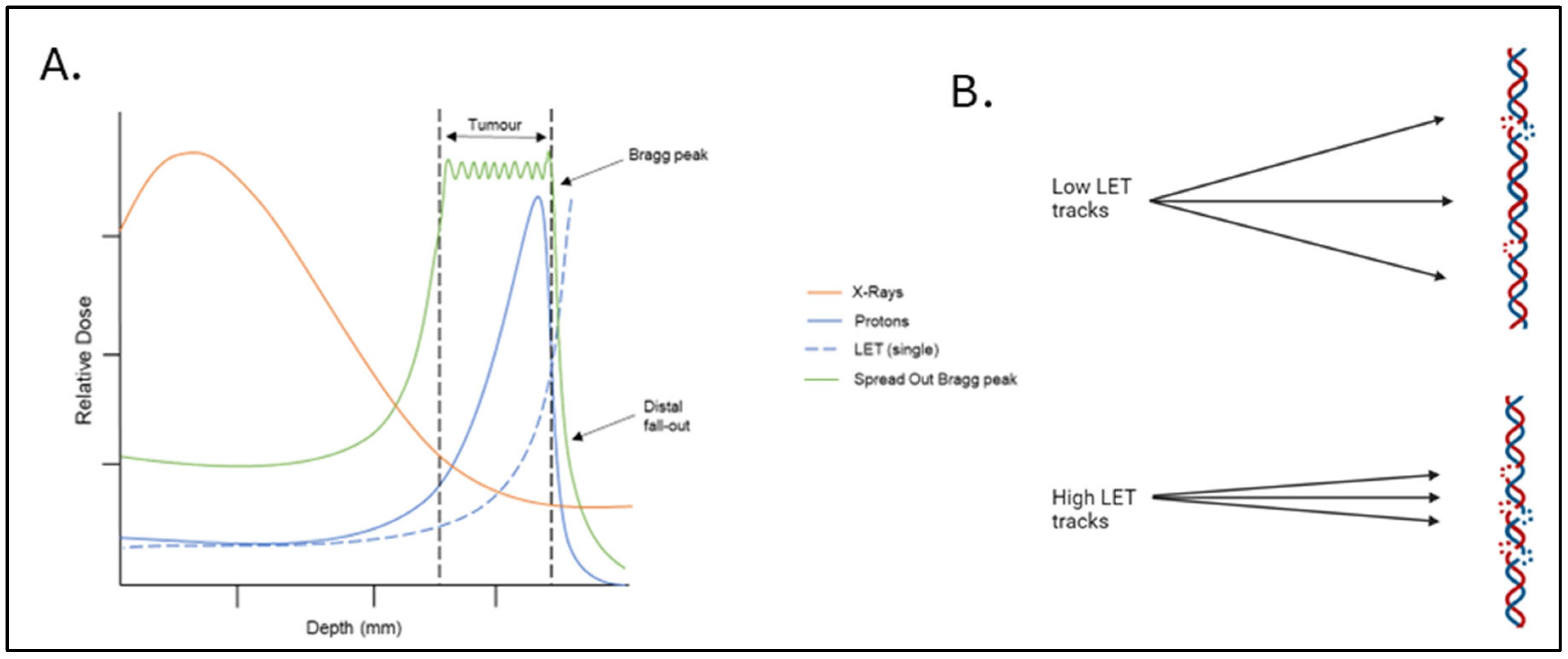 Cancers 17 03104 g001 Cancers 17 03104 g001