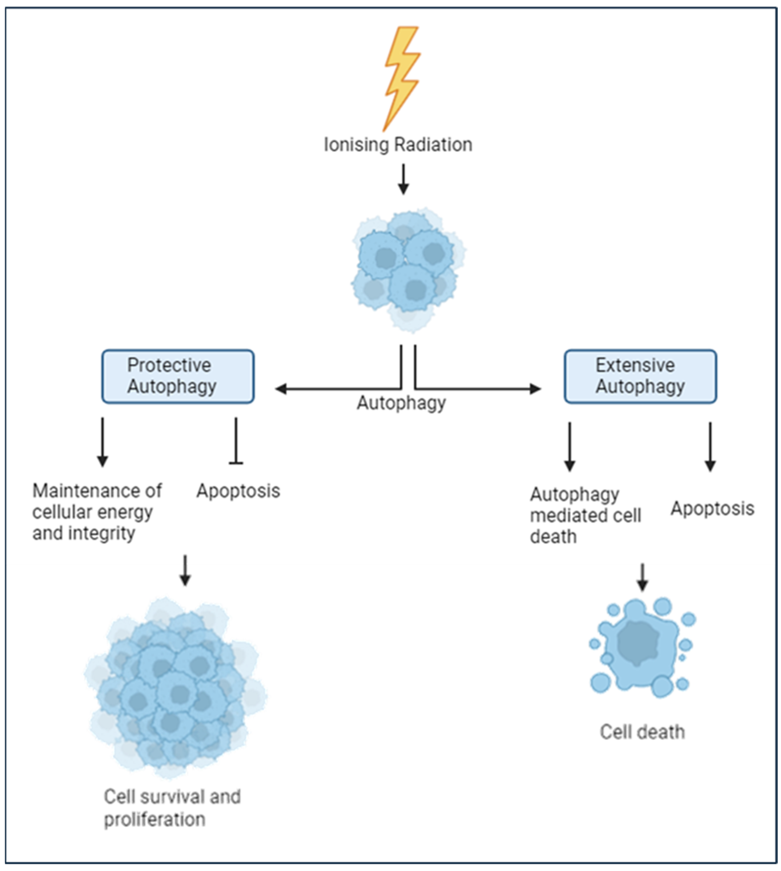 Cancers 17 03104 g003 Cancers 17 03104 g003