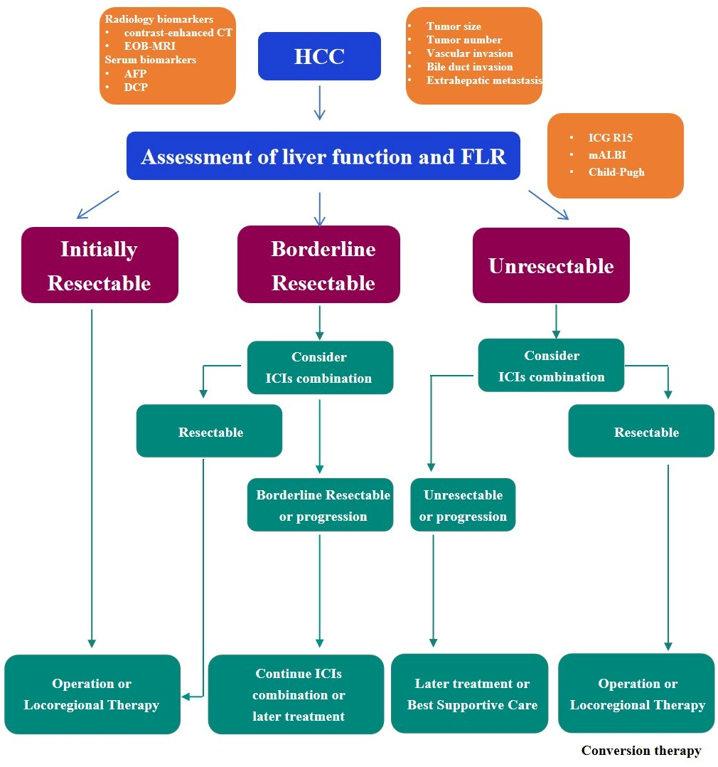 Cancers 17 03105 g001 Cancers 17 03105 g001