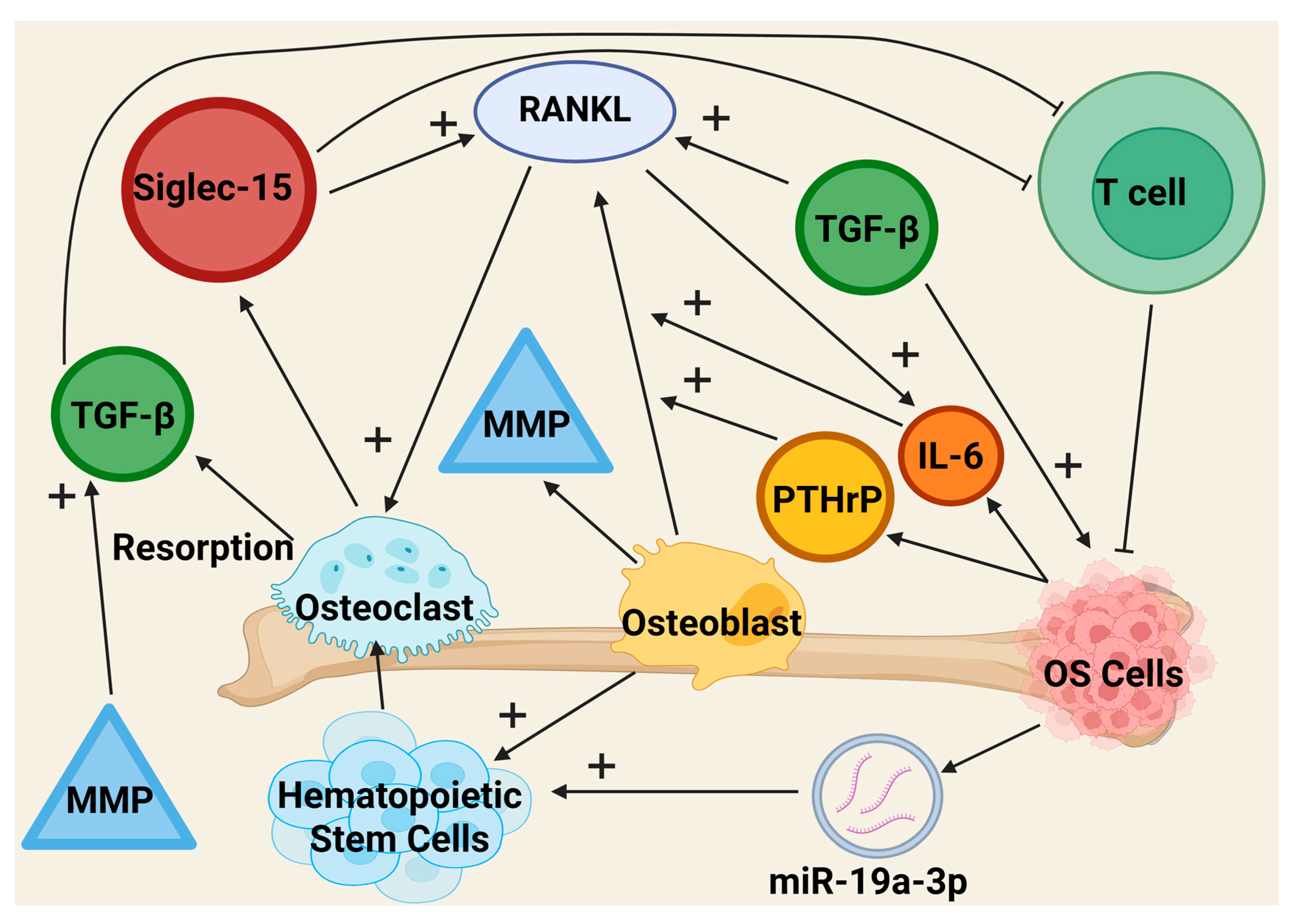Cancers 17 03106 g002