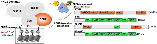 サイズ確認 サイズ確認 | 2GmotoSHOP
