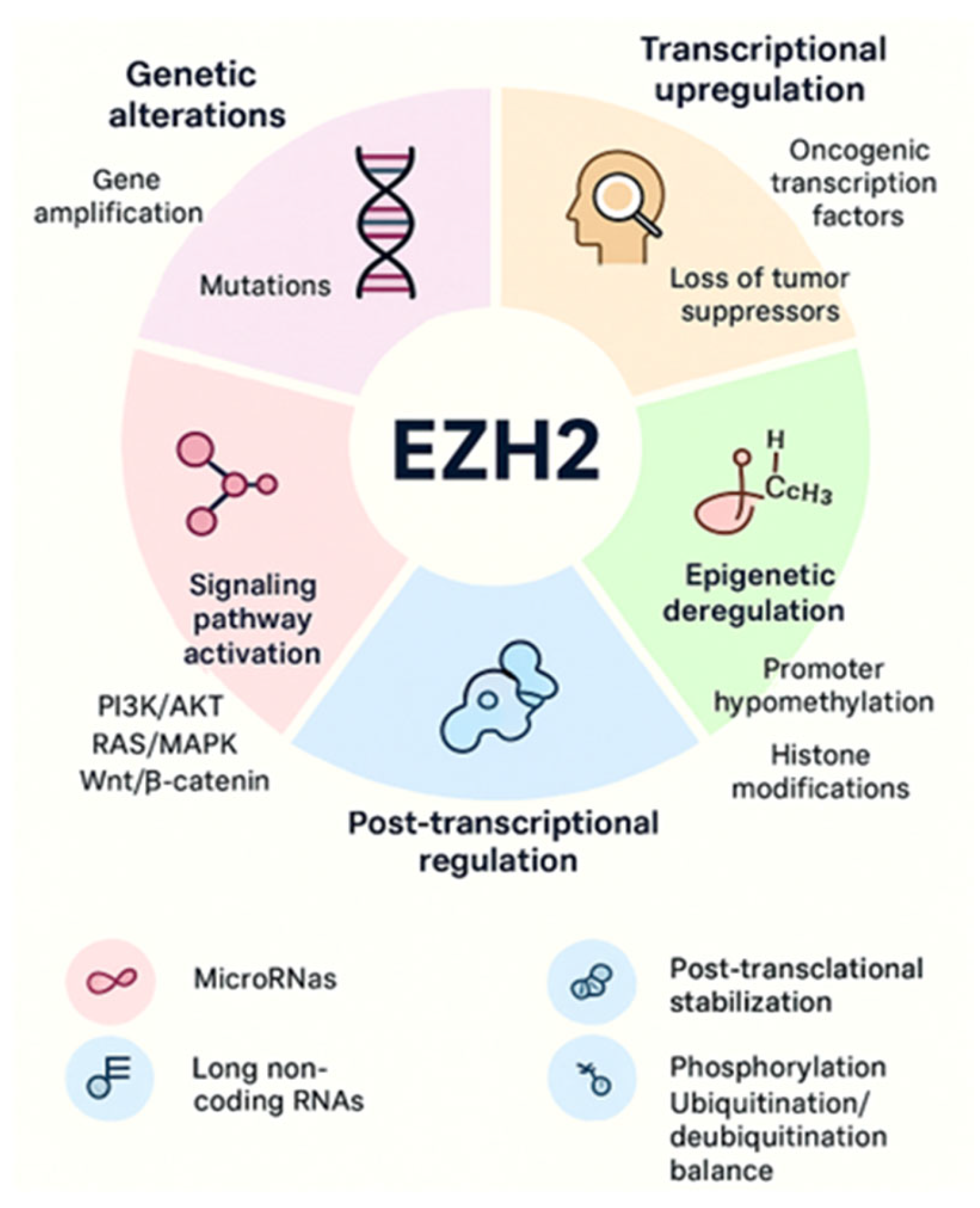 Cancers 17 03111 g003