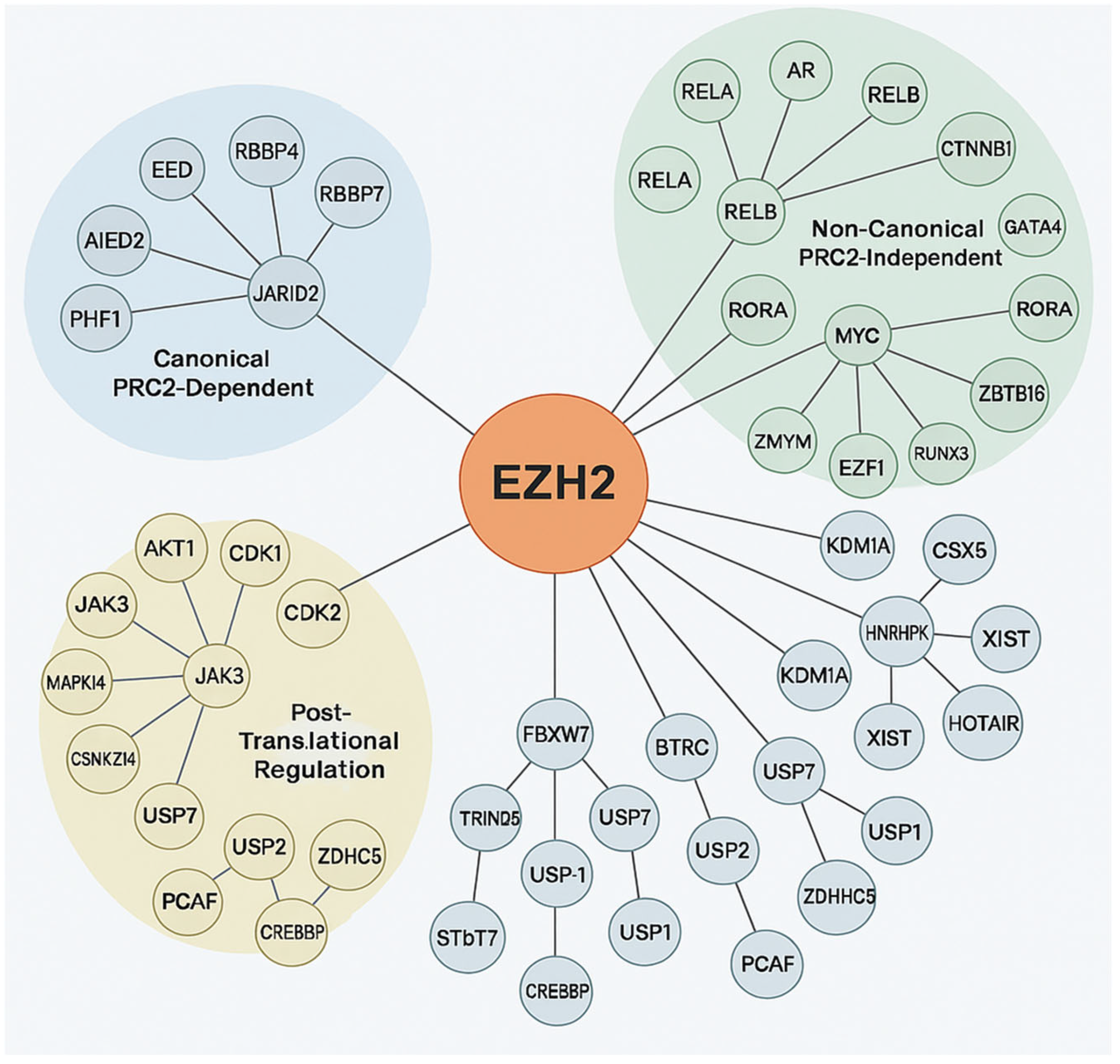 Cancers 17 03111 g004