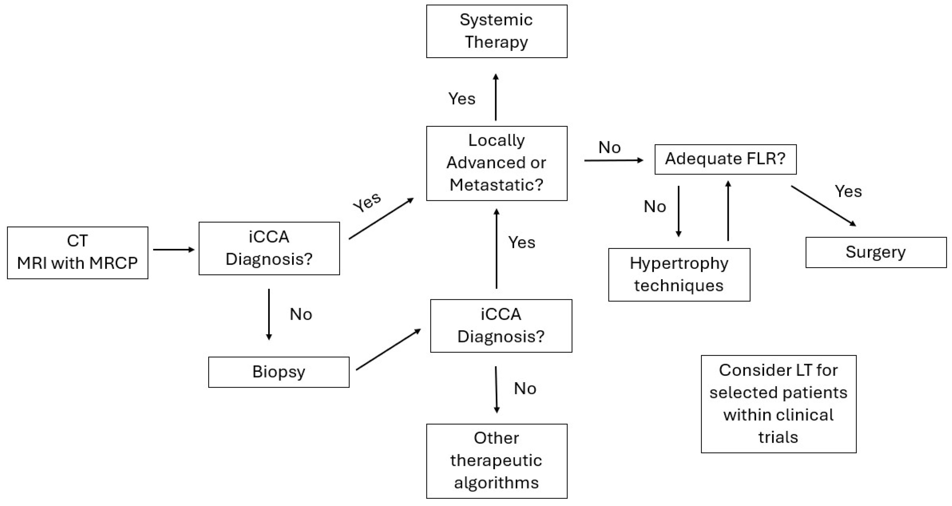 Cancers 17 03127 g001