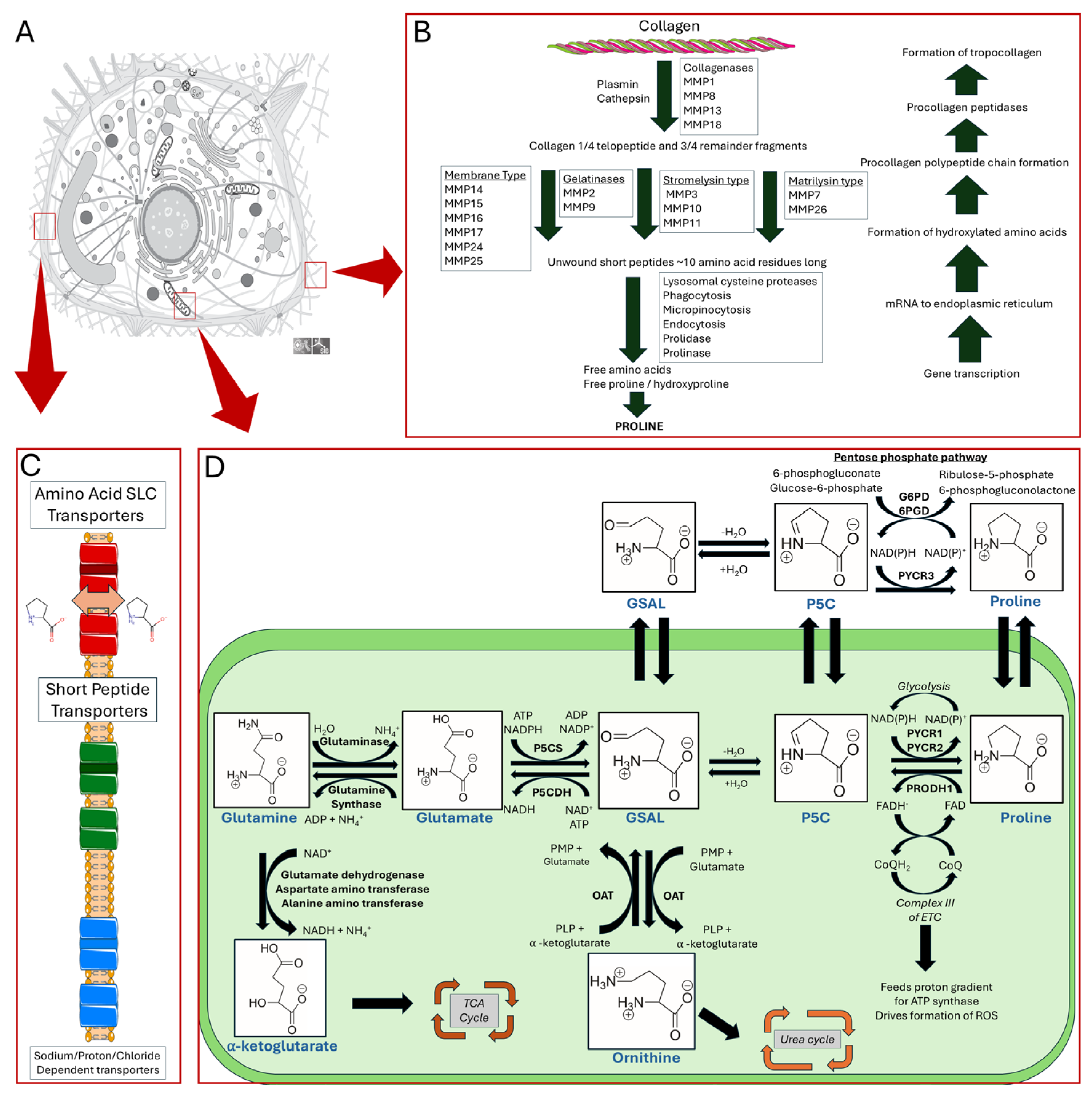 Cancers 17 03156 g001 Cancers 17 03156 g001