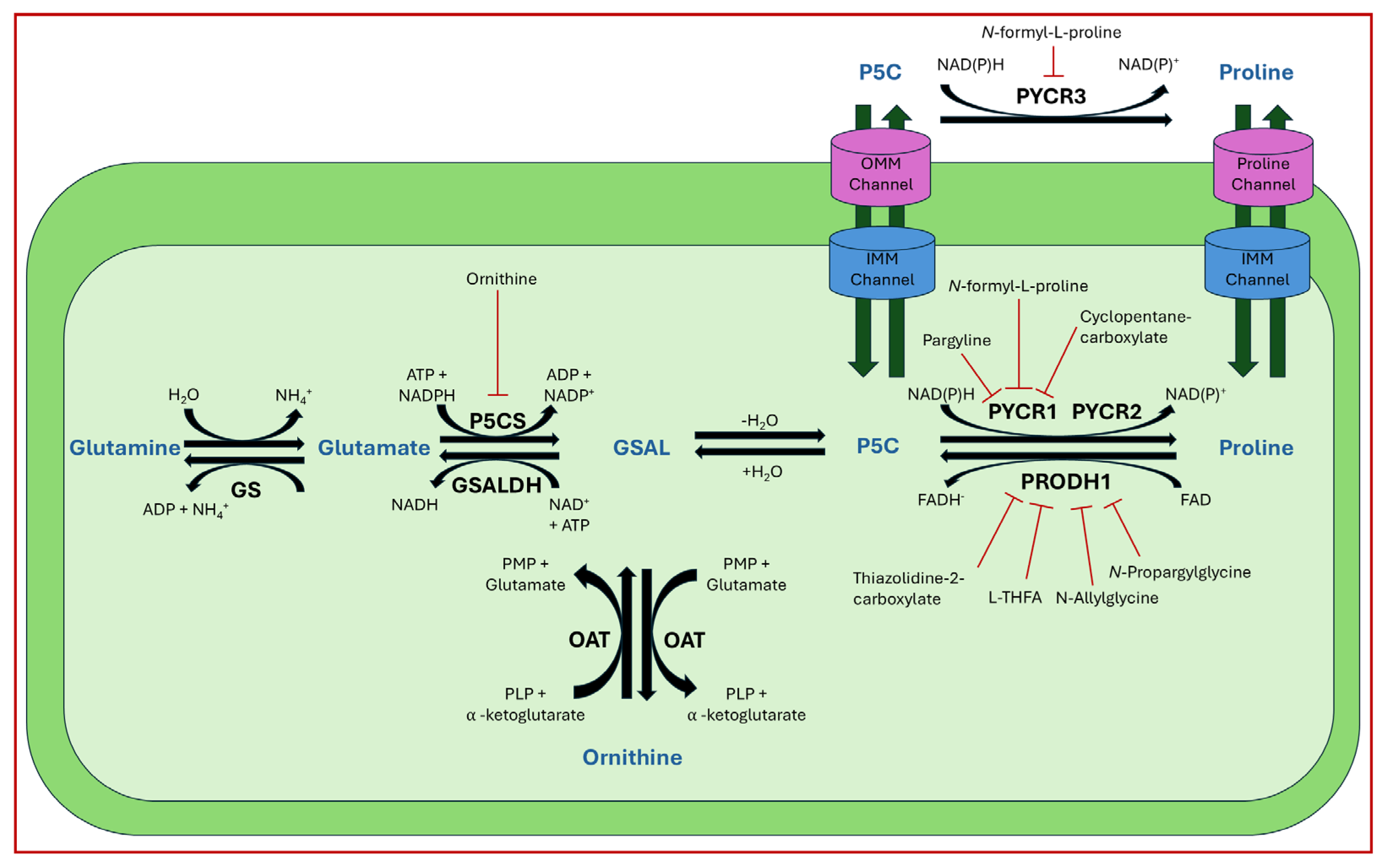 Cancers 17 03156 g003 Cancers 17 03156 g003