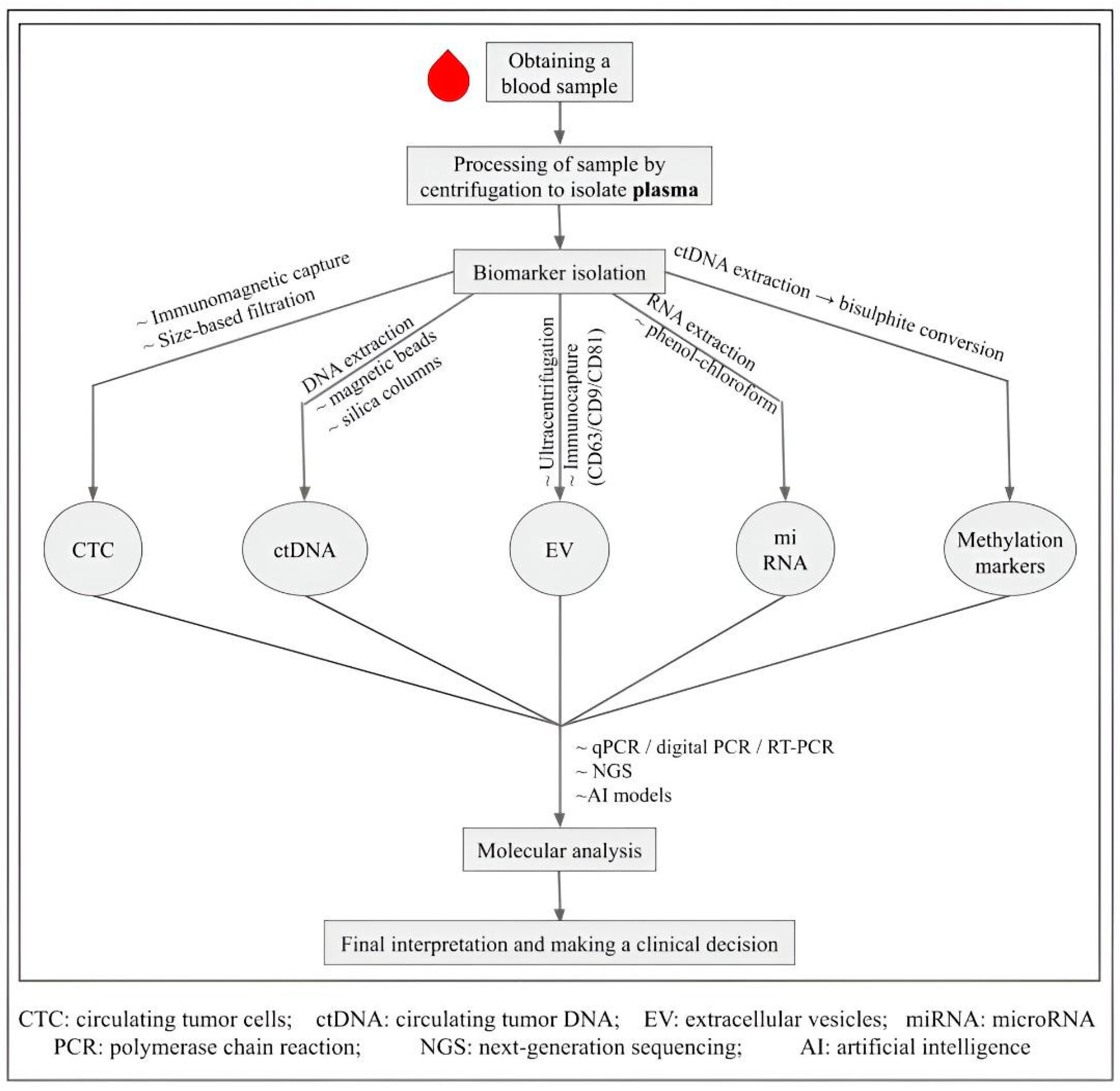 Cancers 17 03165 g001 Cancers 17 03165 g001