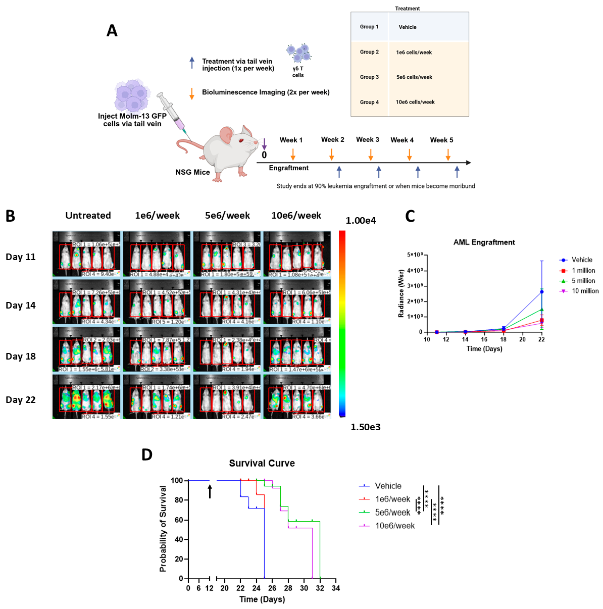 Cancers 17 03166 g004 Cancers 17 03166 g004