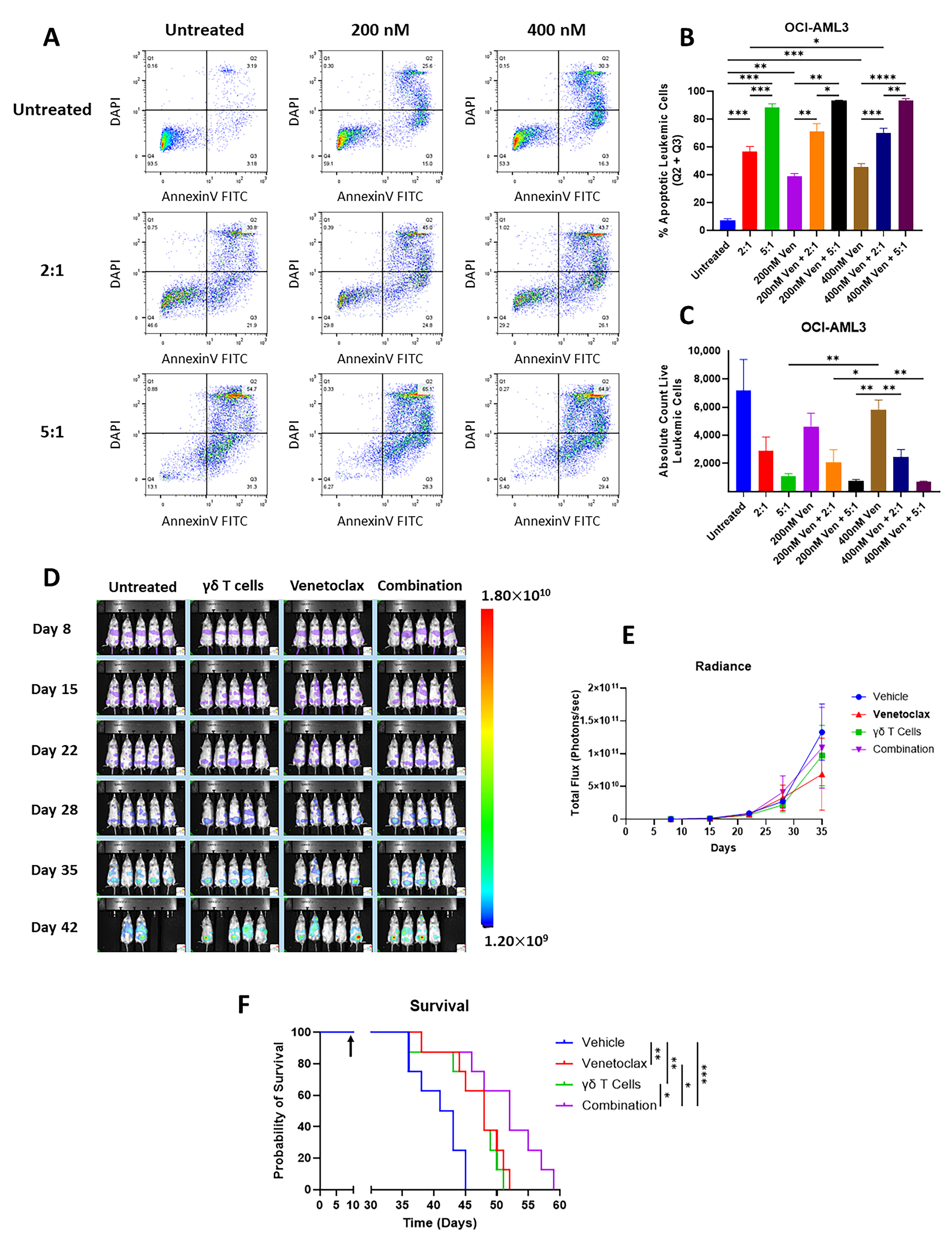 Cancers 17 03166 g005 Cancers 17 03166 g005