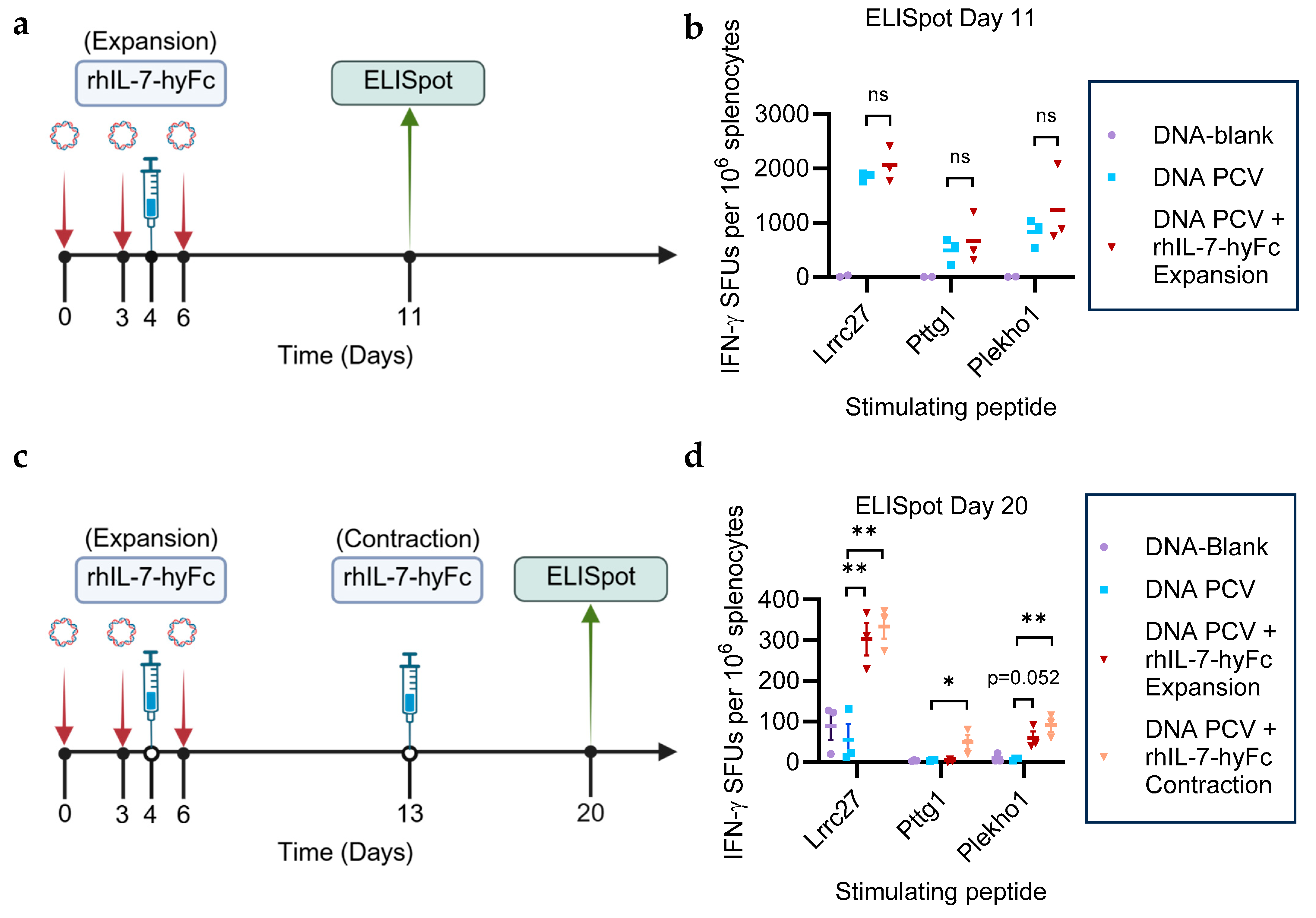 Cancers 17 03177 g001