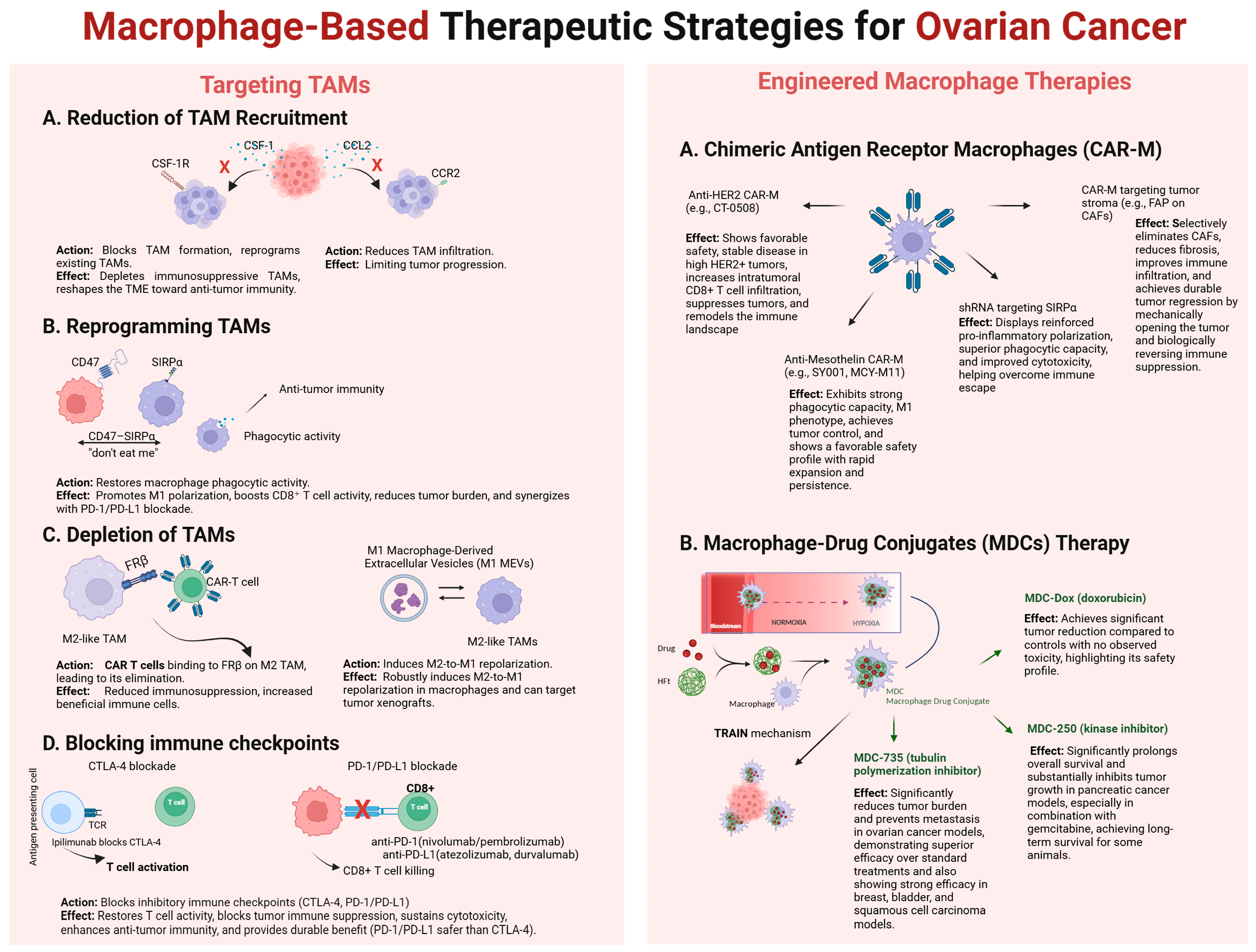 Cancers 17 03182 g002 Cancers 17 03182 g002