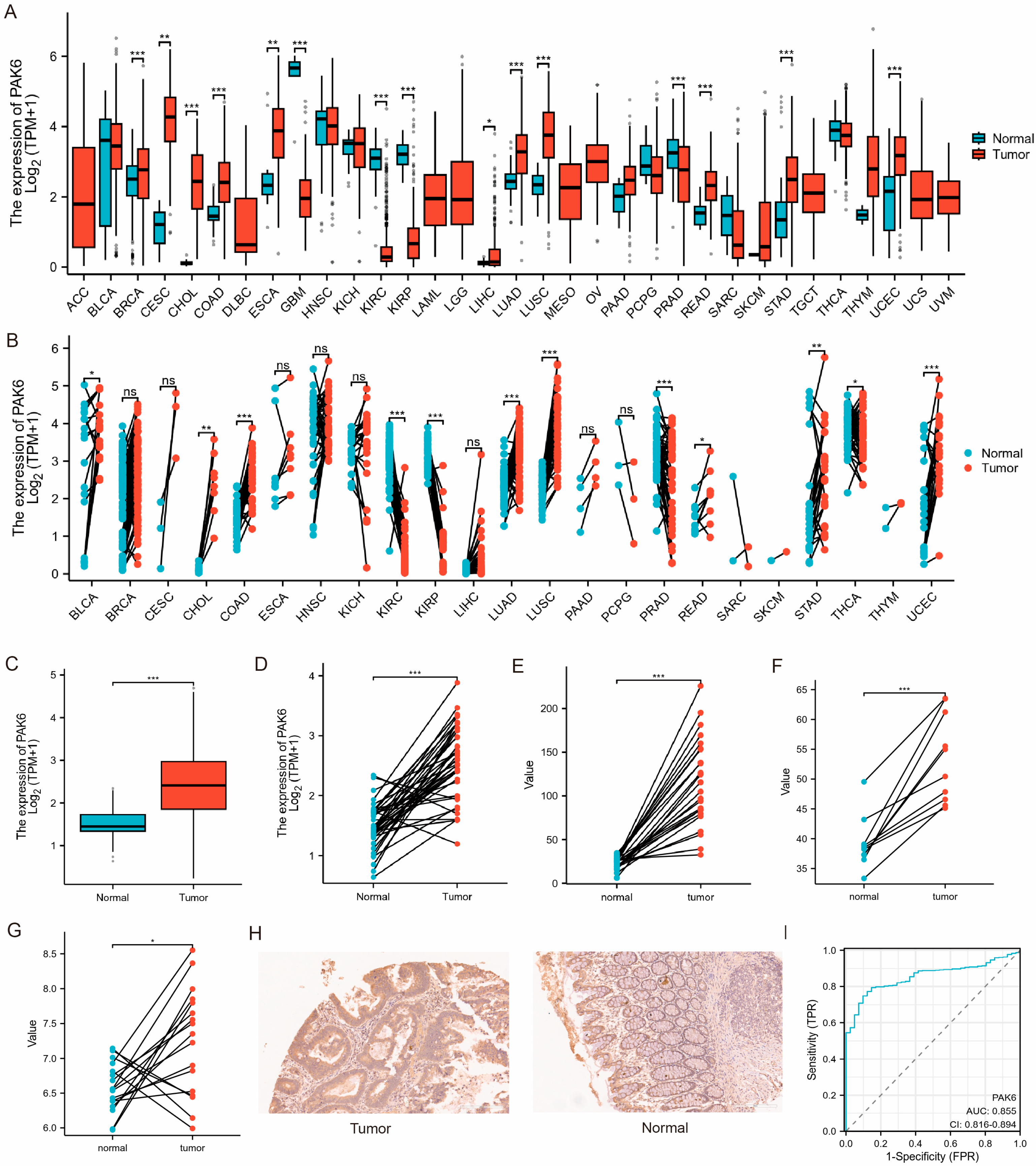 Cancers 17 03183 g001 Cancers 17 03183 g001