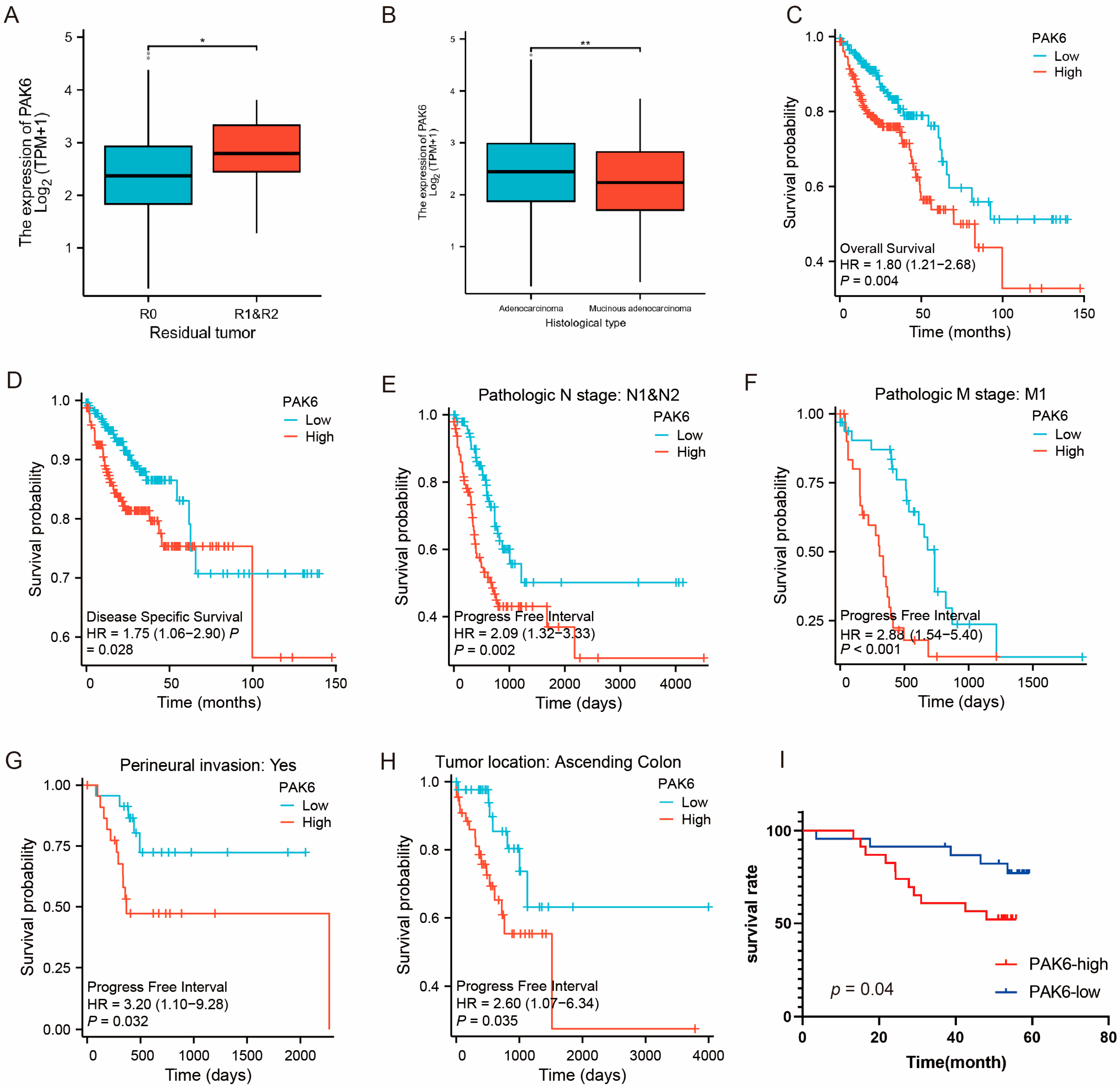 Cancers 17 03183 g002 Cancers 17 03183 g002