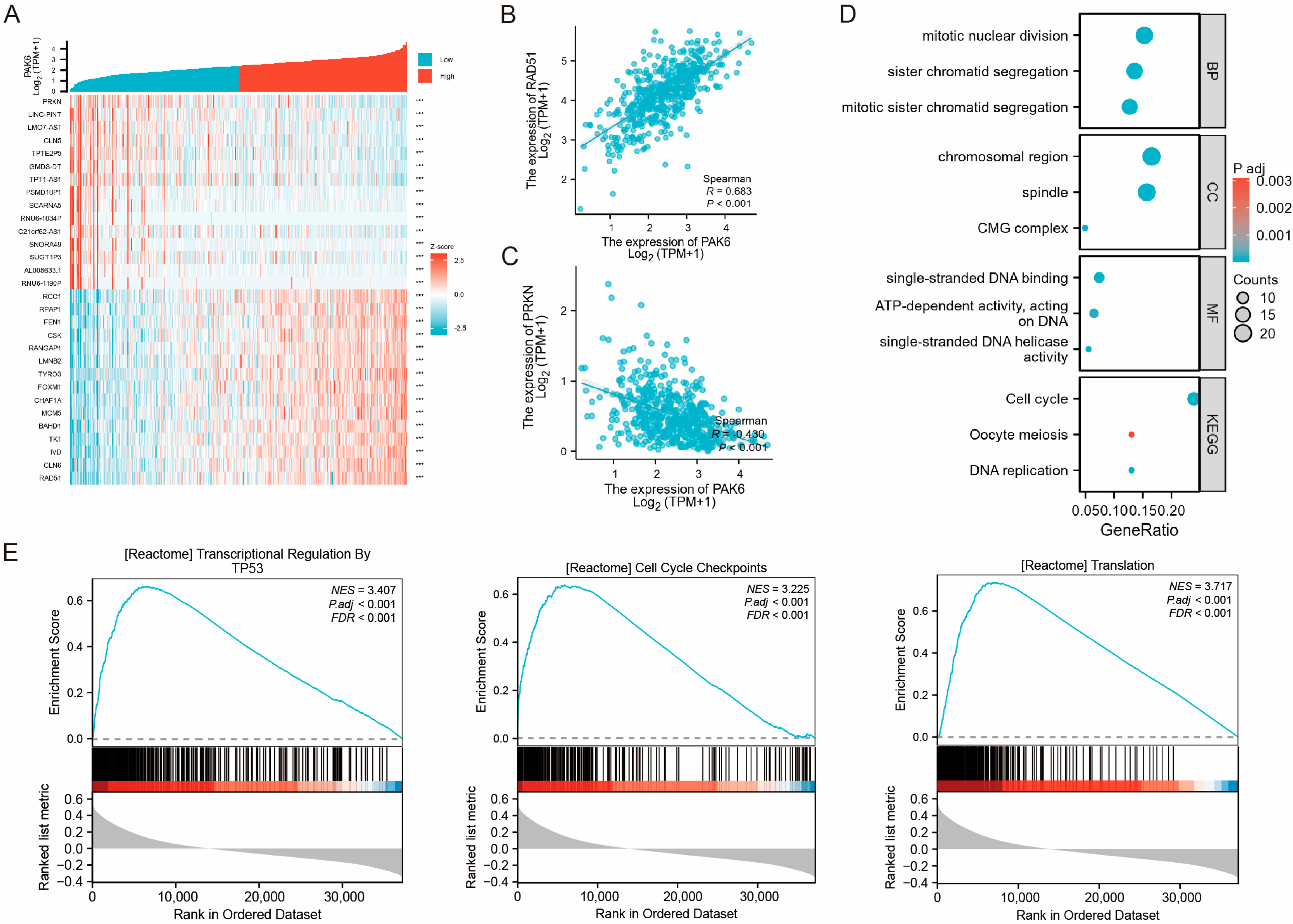 Cancers 17 03183 g003 Cancers 17 03183 g003