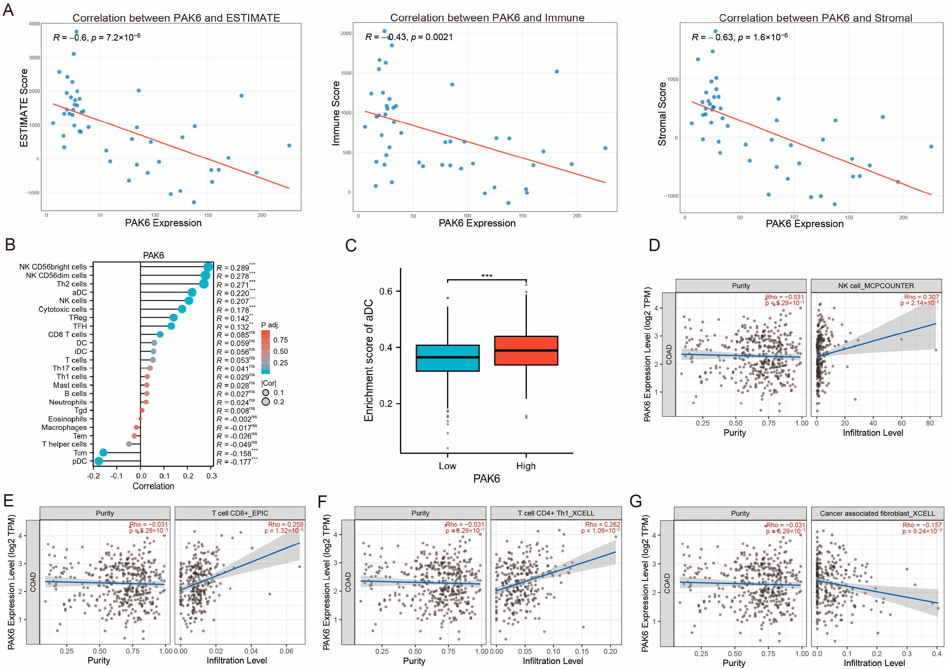 Cancers 17 03183 g004 Cancers 17 03183 g004