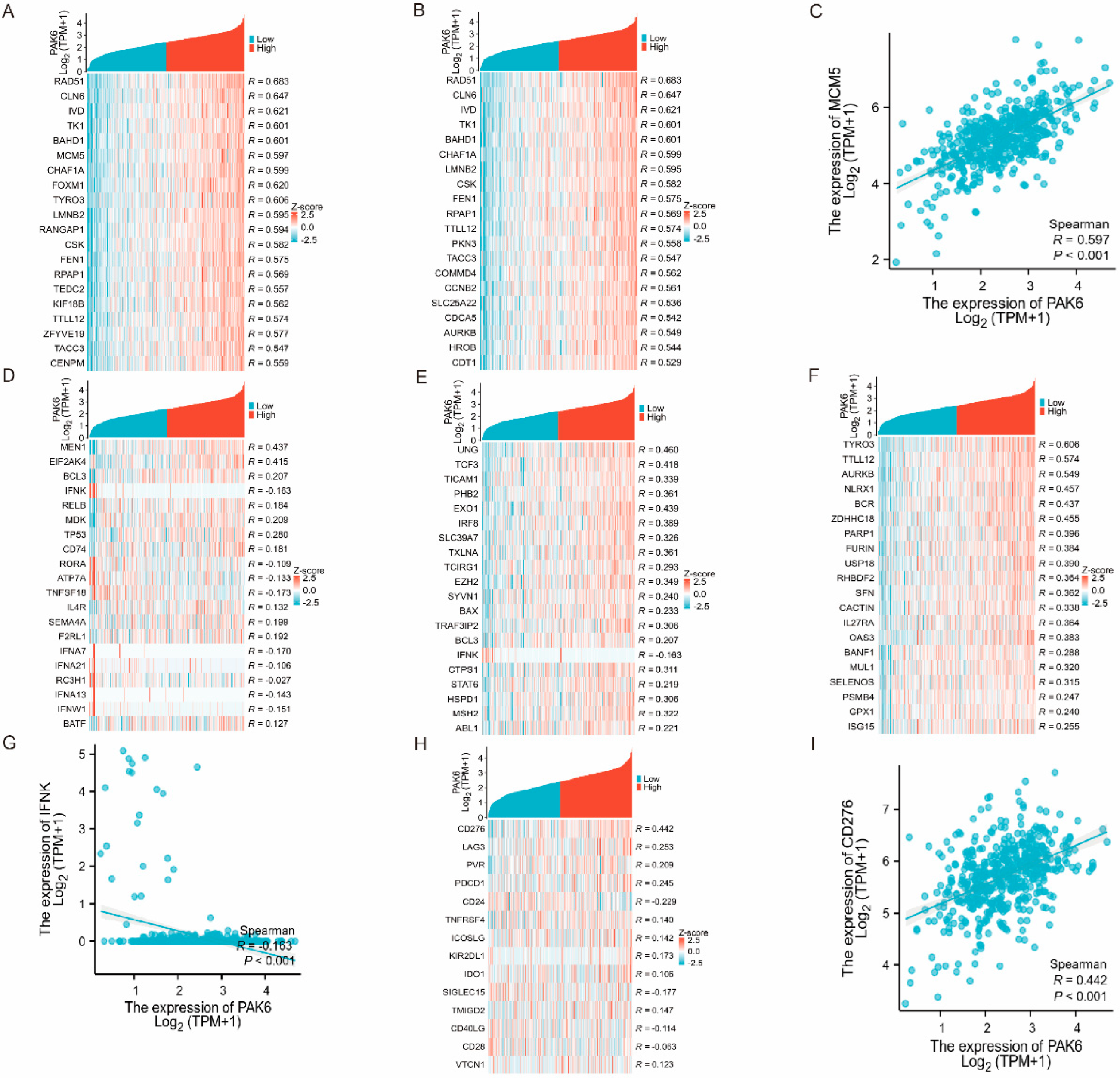 Cancers 17 03183 g005 Cancers 17 03183 g005
