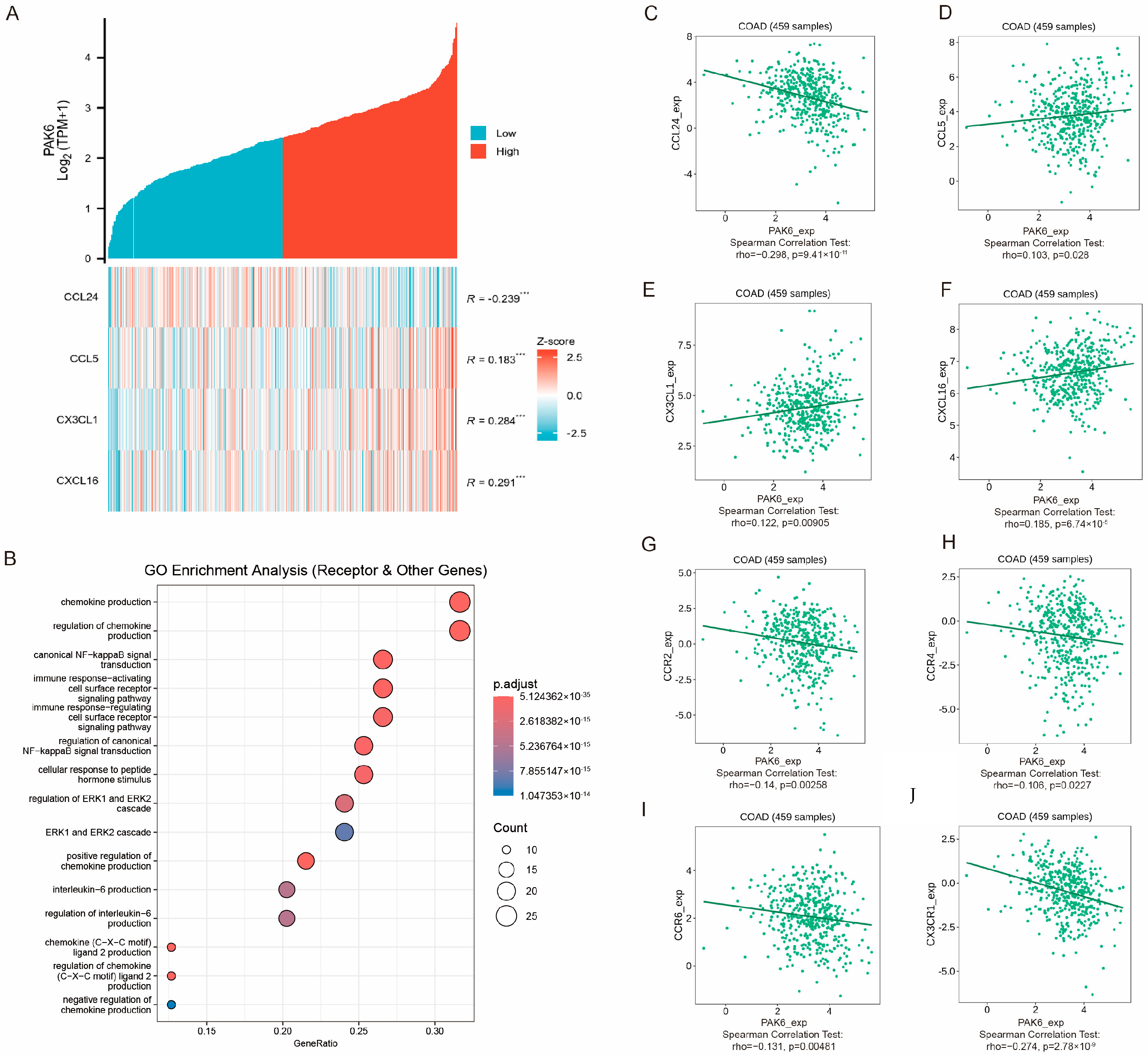 Cancers 17 03183 g006 Cancers 17 03183 g006