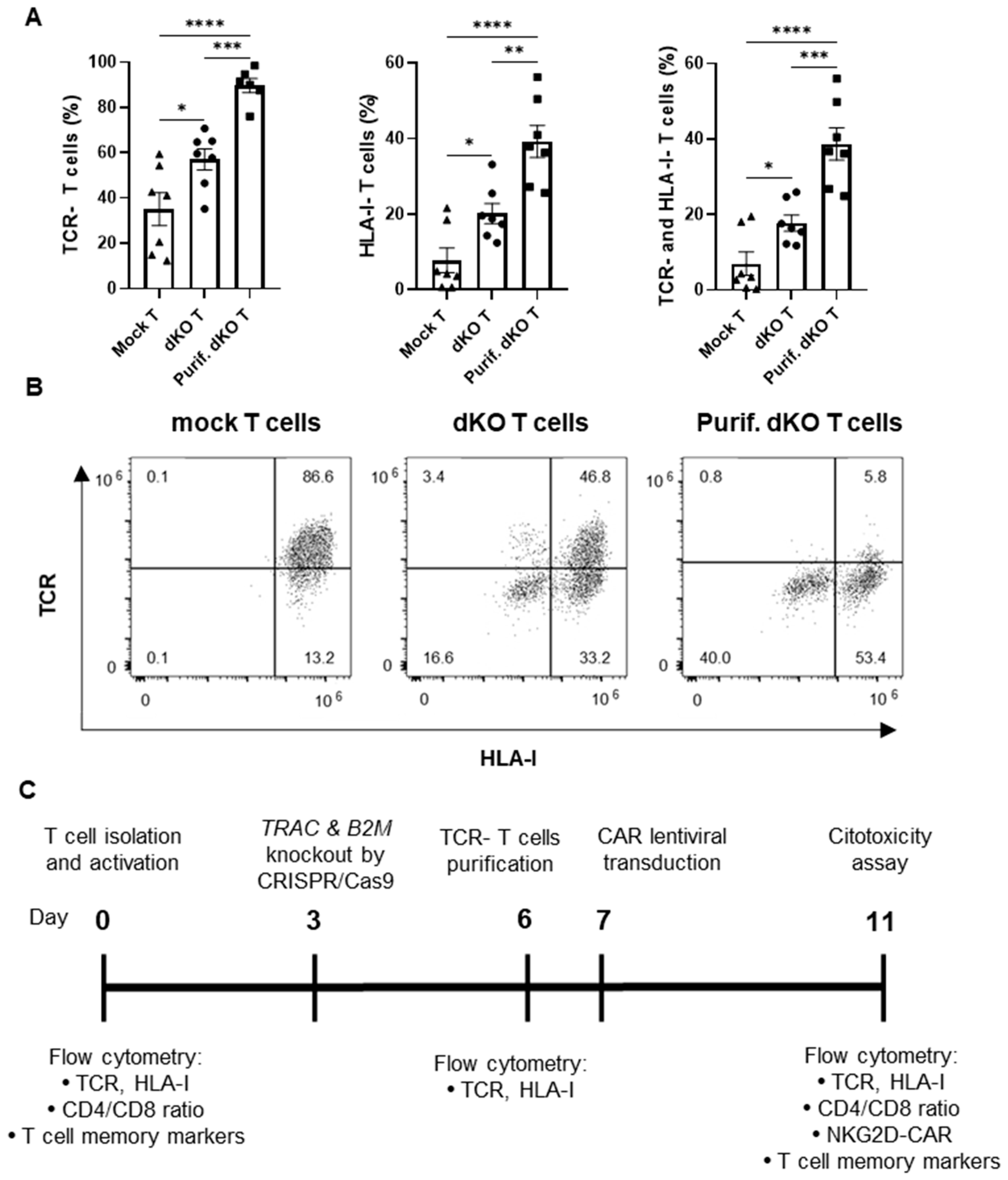 Cancers 17 03186 g001 Cancers 17 03186 g001