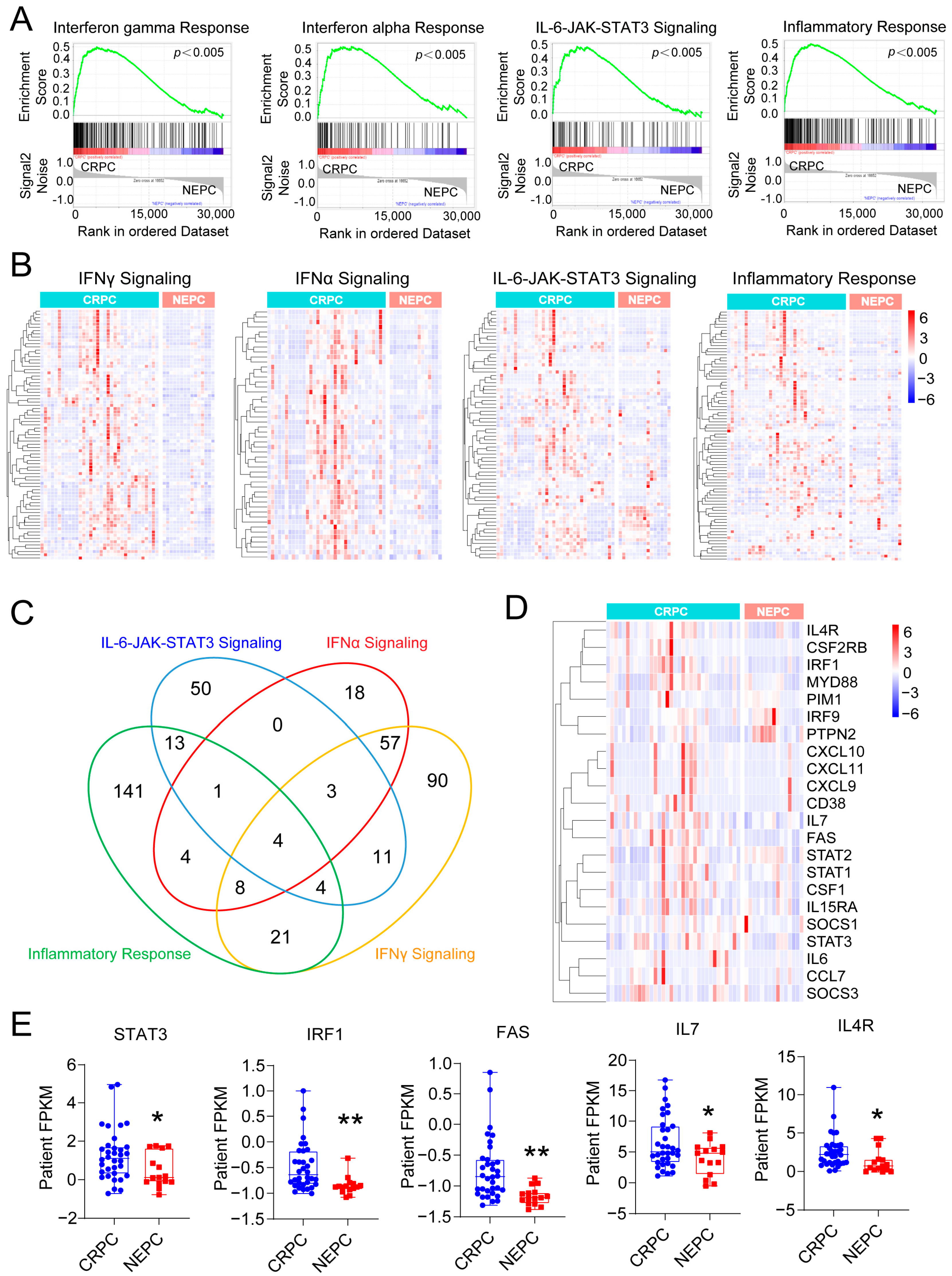 Cancers 17 03187 g001 Cancers 17 03187 g001