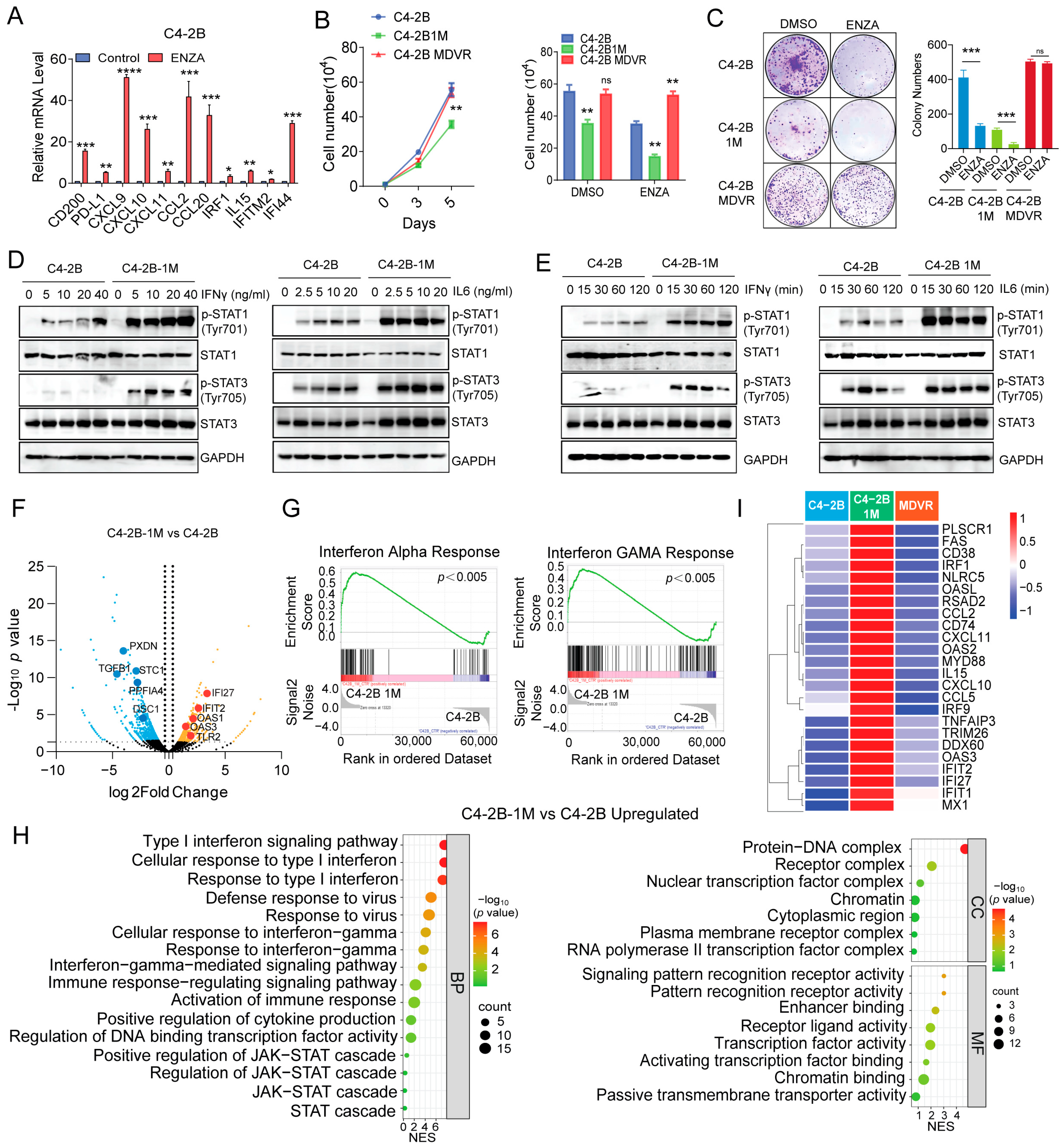 Cancers 17 03187 g003 Cancers 17 03187 g003