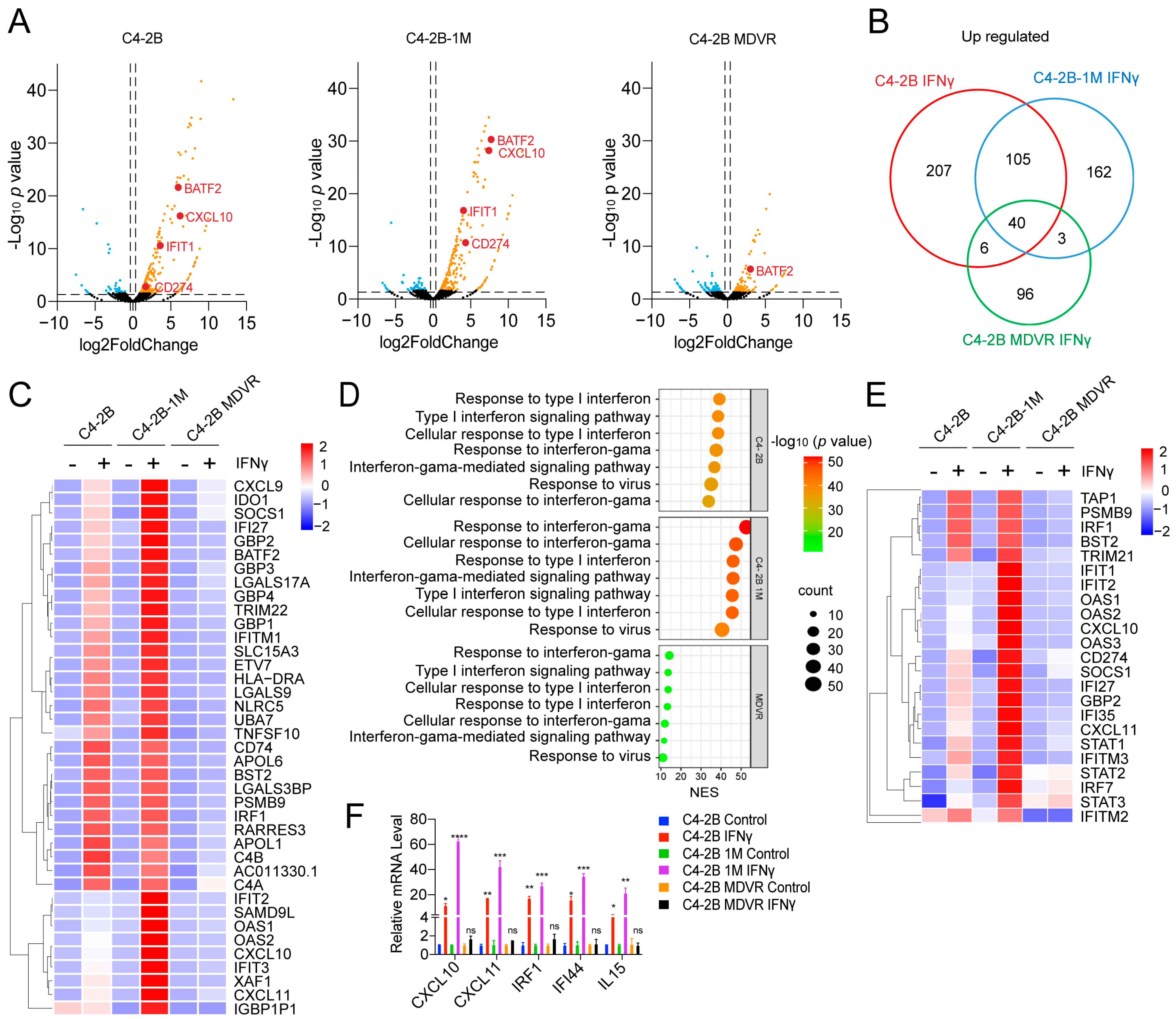 Cancers 17 03187 g005 Cancers 17 03187 g005